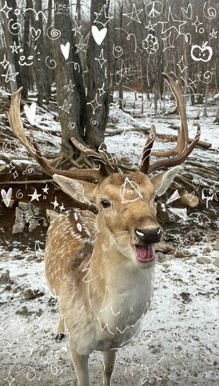 deer therian