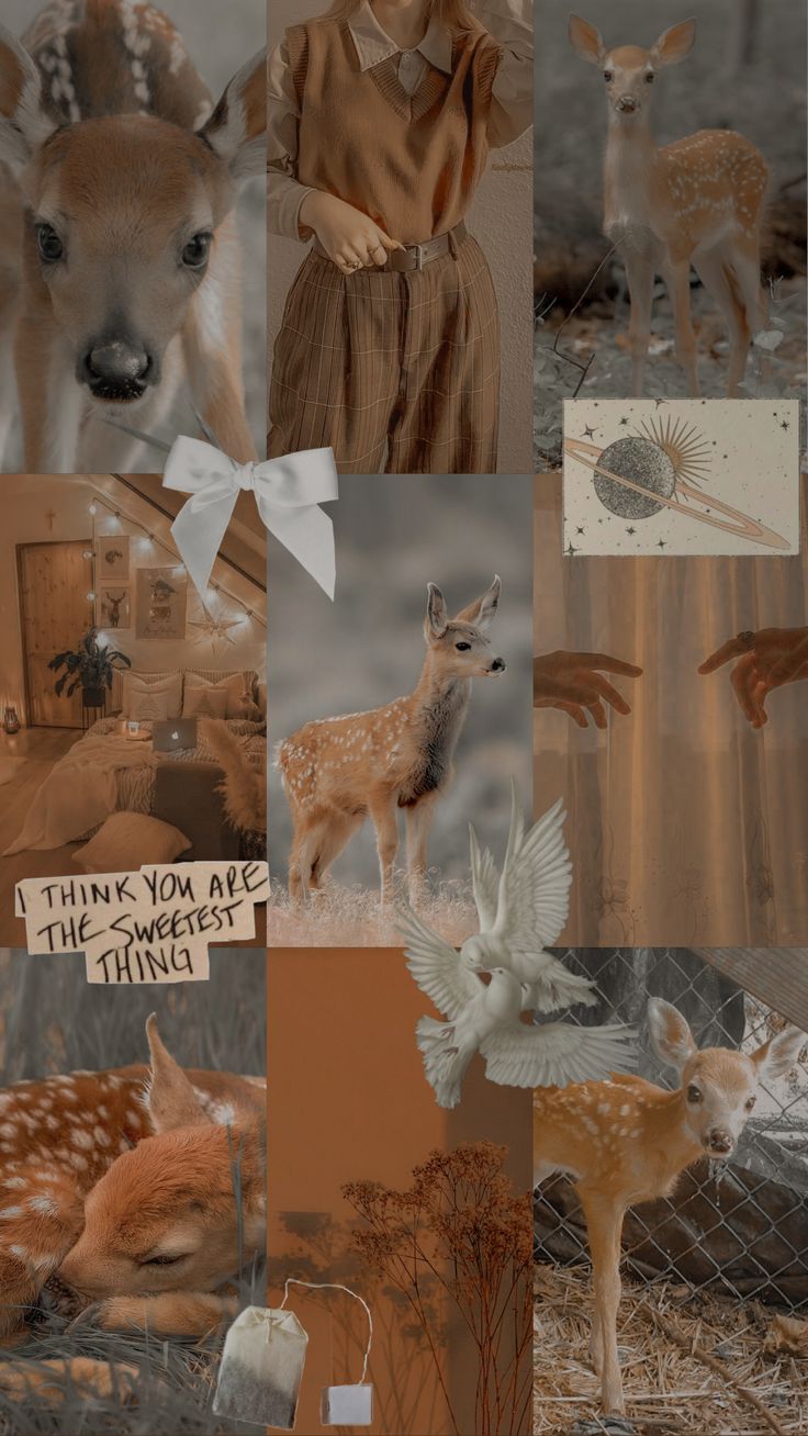 deer moodboard phone wallpaper