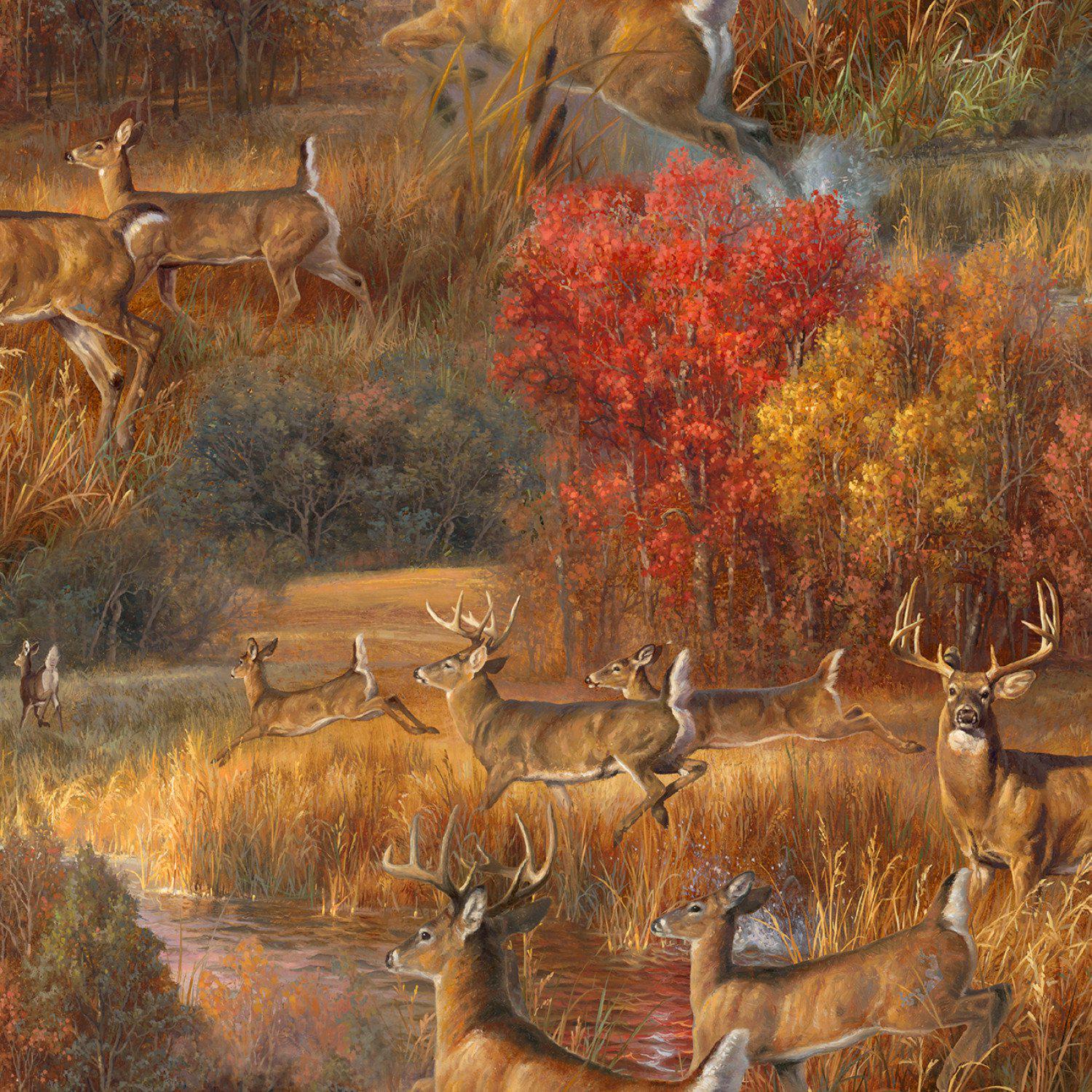 Autumn Whitetails