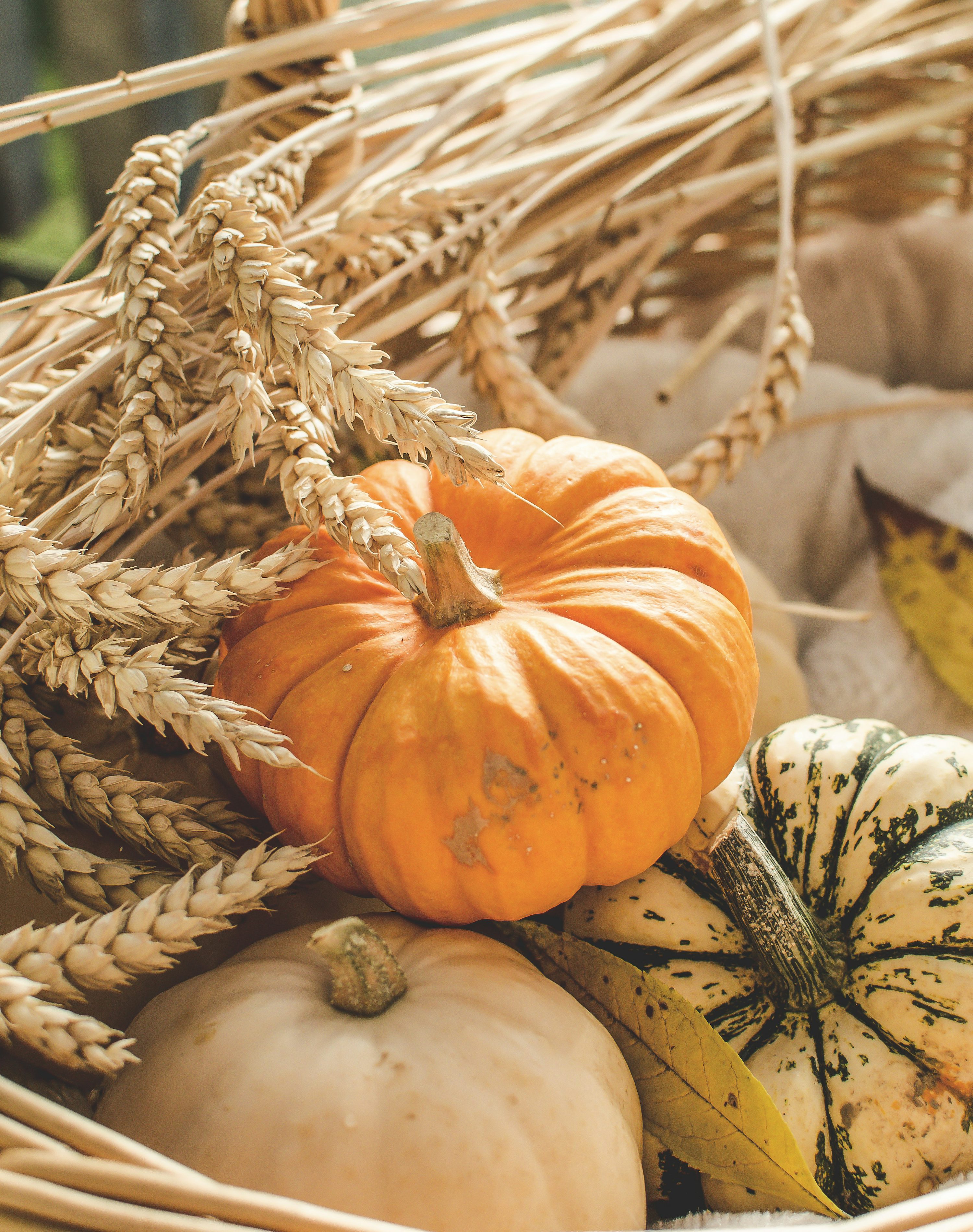 Orange and green pumpkins in wicker basket photo