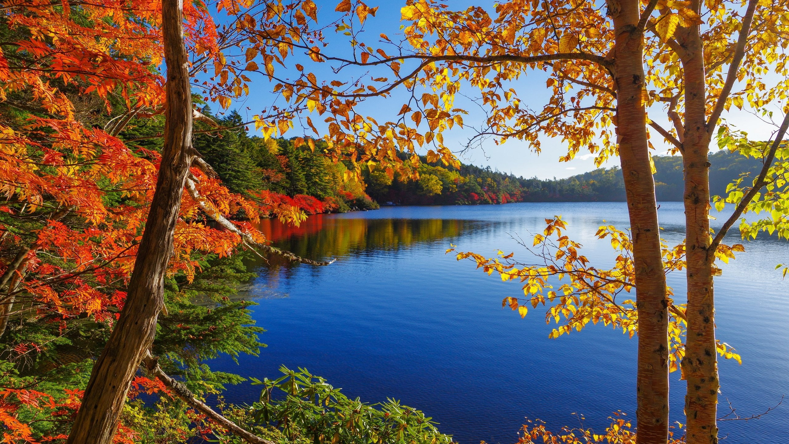 Autumn Wallpaper 2560x1920 55956