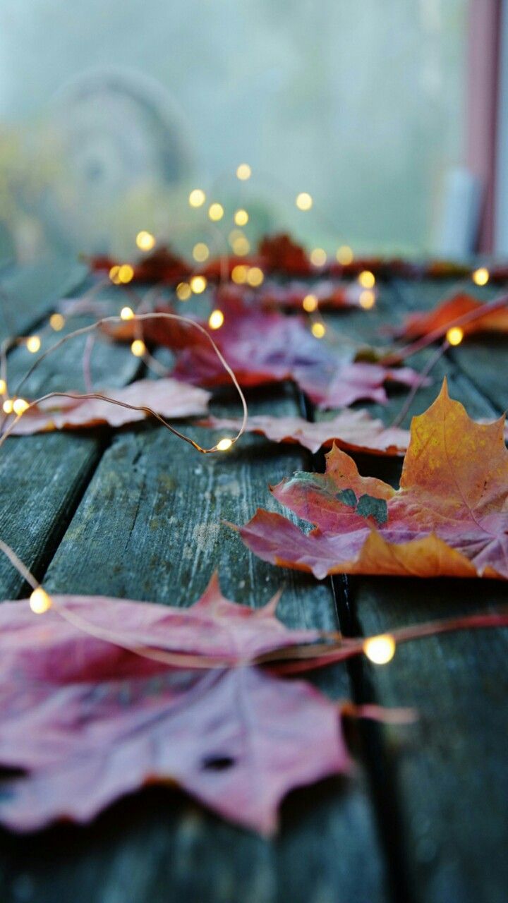 Autumn leaves and a cool breeze