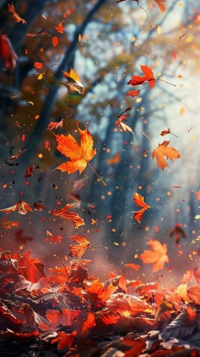 Flotte billeder. Nature photography, Fall wallpaper, Cute fall wallpaper