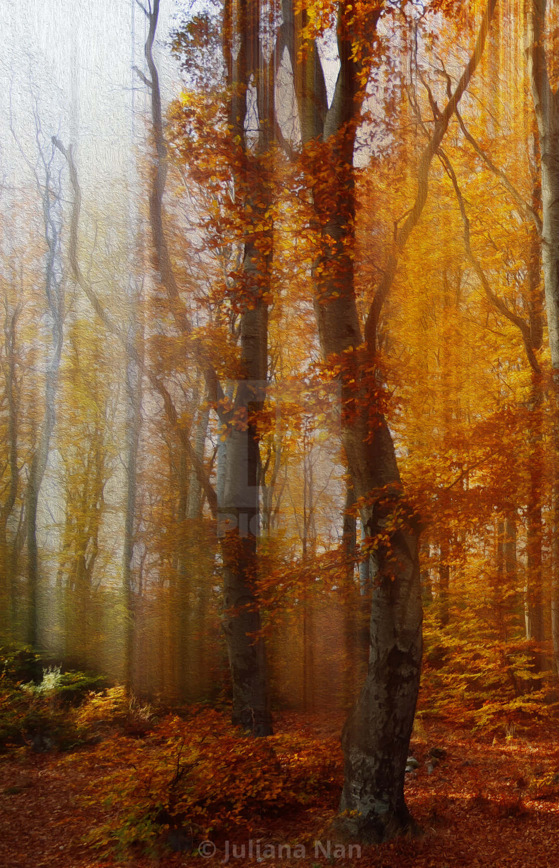 Download Vintage Autumn Realistic Forest Wallpaper