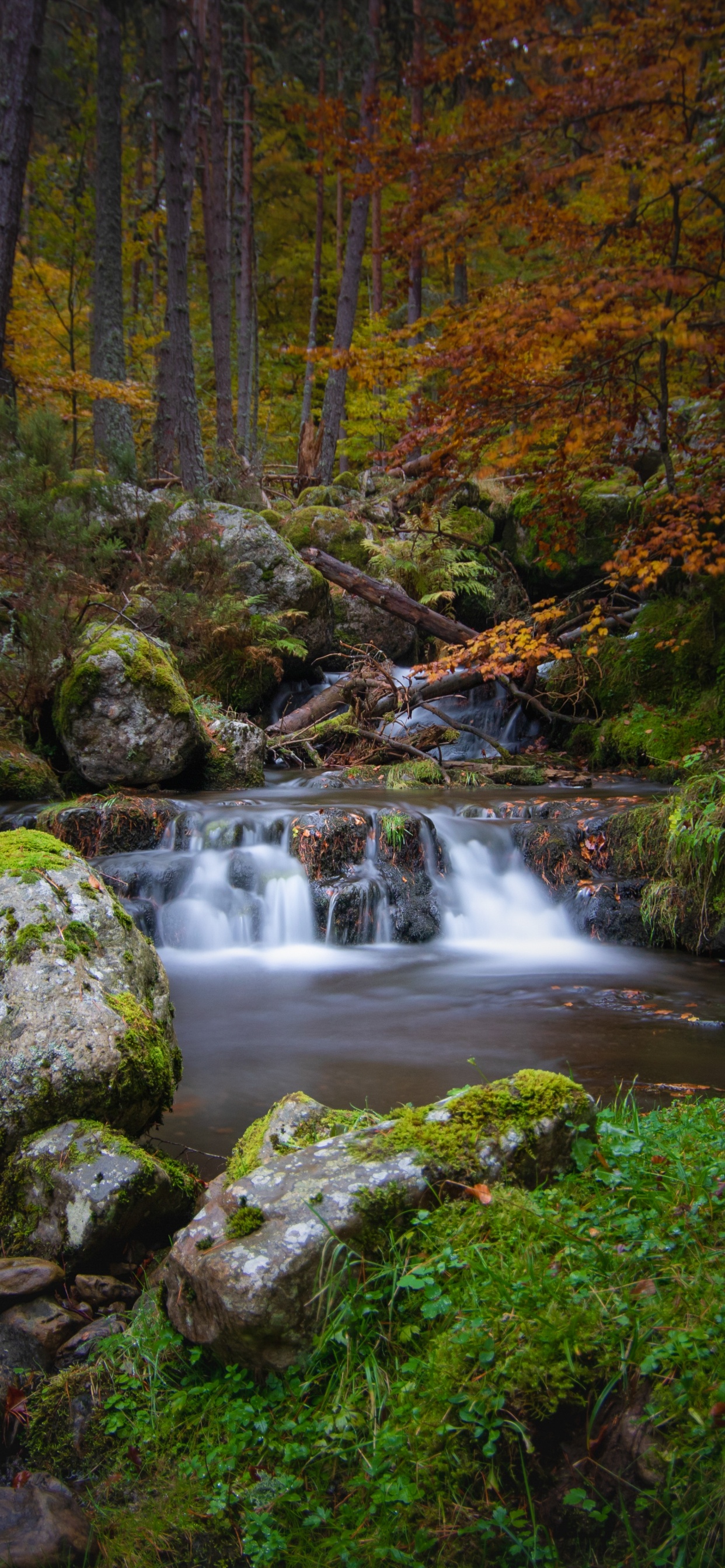 Waterfall Wallpaper 4K, Autumn, Foliage, Forest, Woods