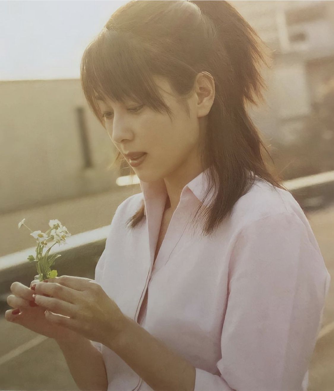 Izumi sakai ideas. sakai, zard, izumi