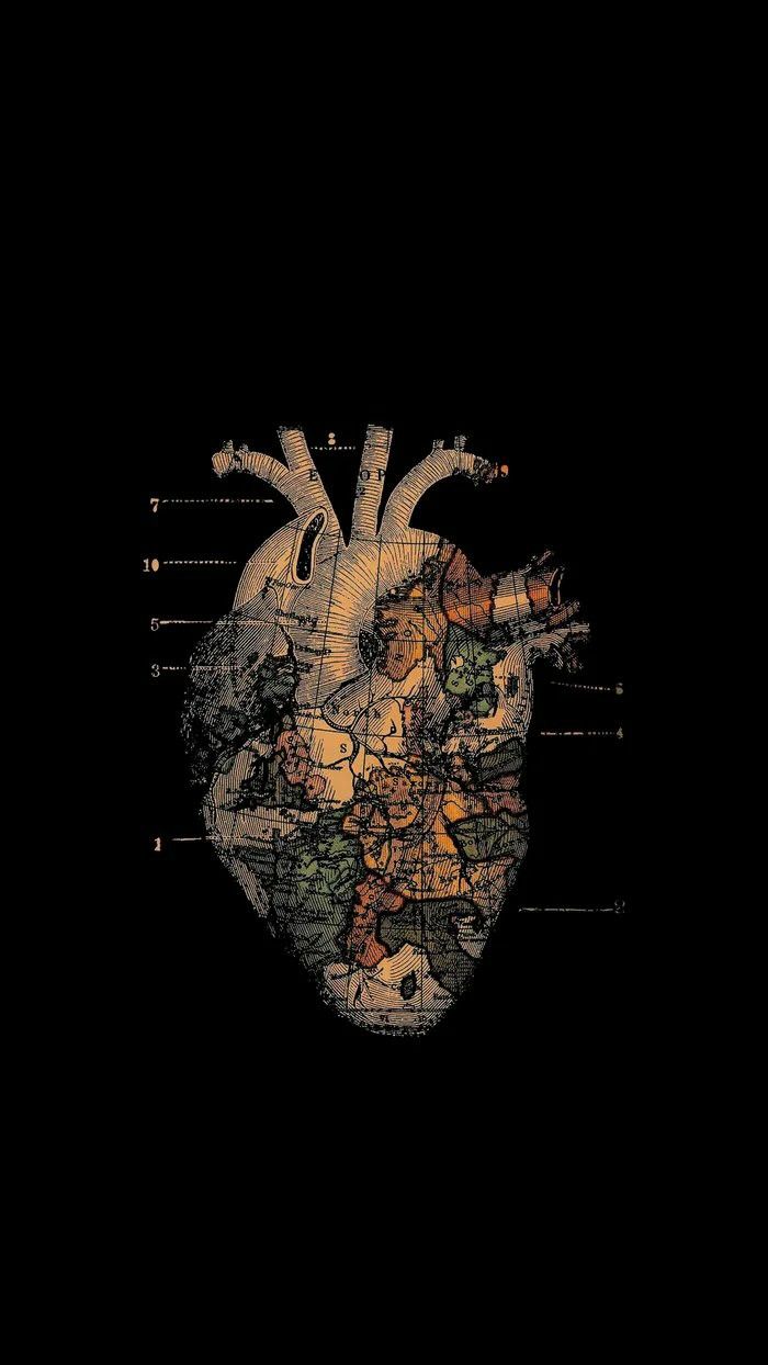 Heart Diagram Phone Wallpaper