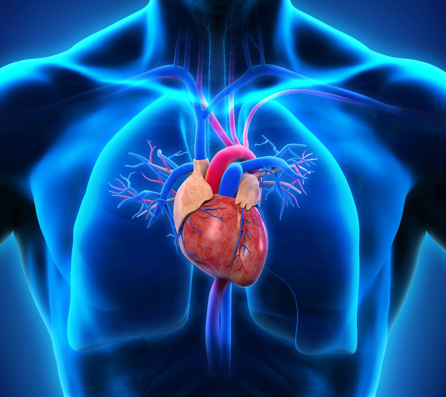 Heart Health Bundle