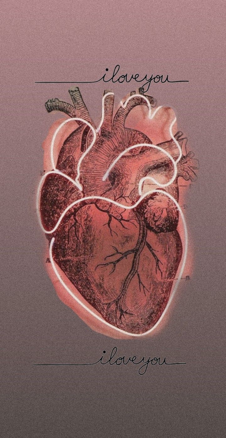 Medical wallpaper, Dark phone wallpaper, Anatomy art