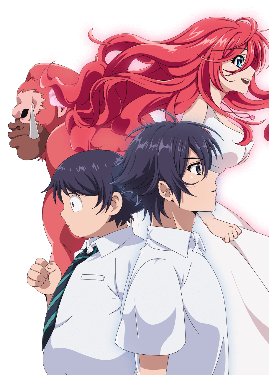 Shinka no Mi (anime). Shinka no Mi