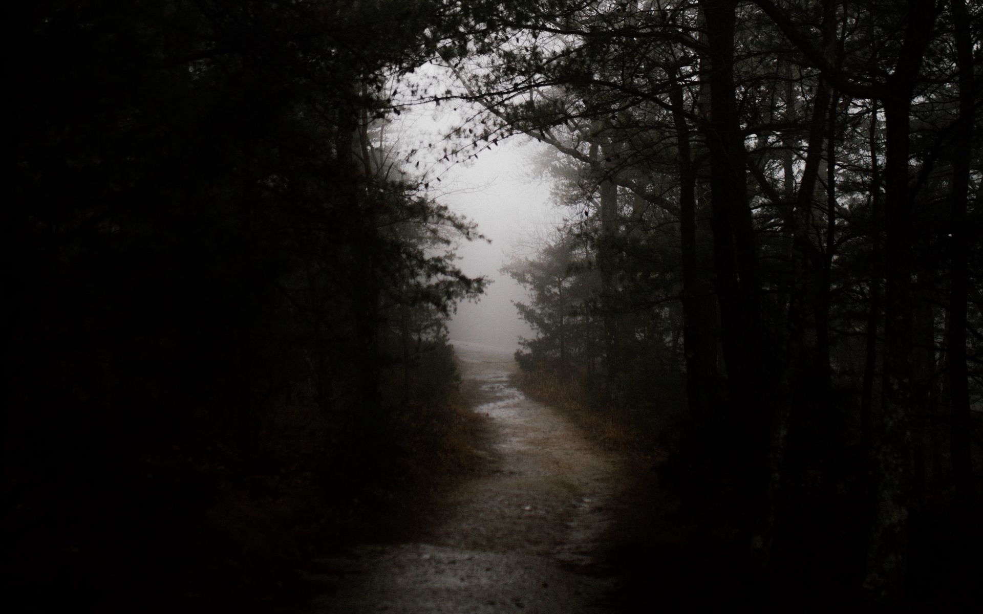 Download wallpaper 1920x1200 dark, forest, road widescreen 16:10 HD background