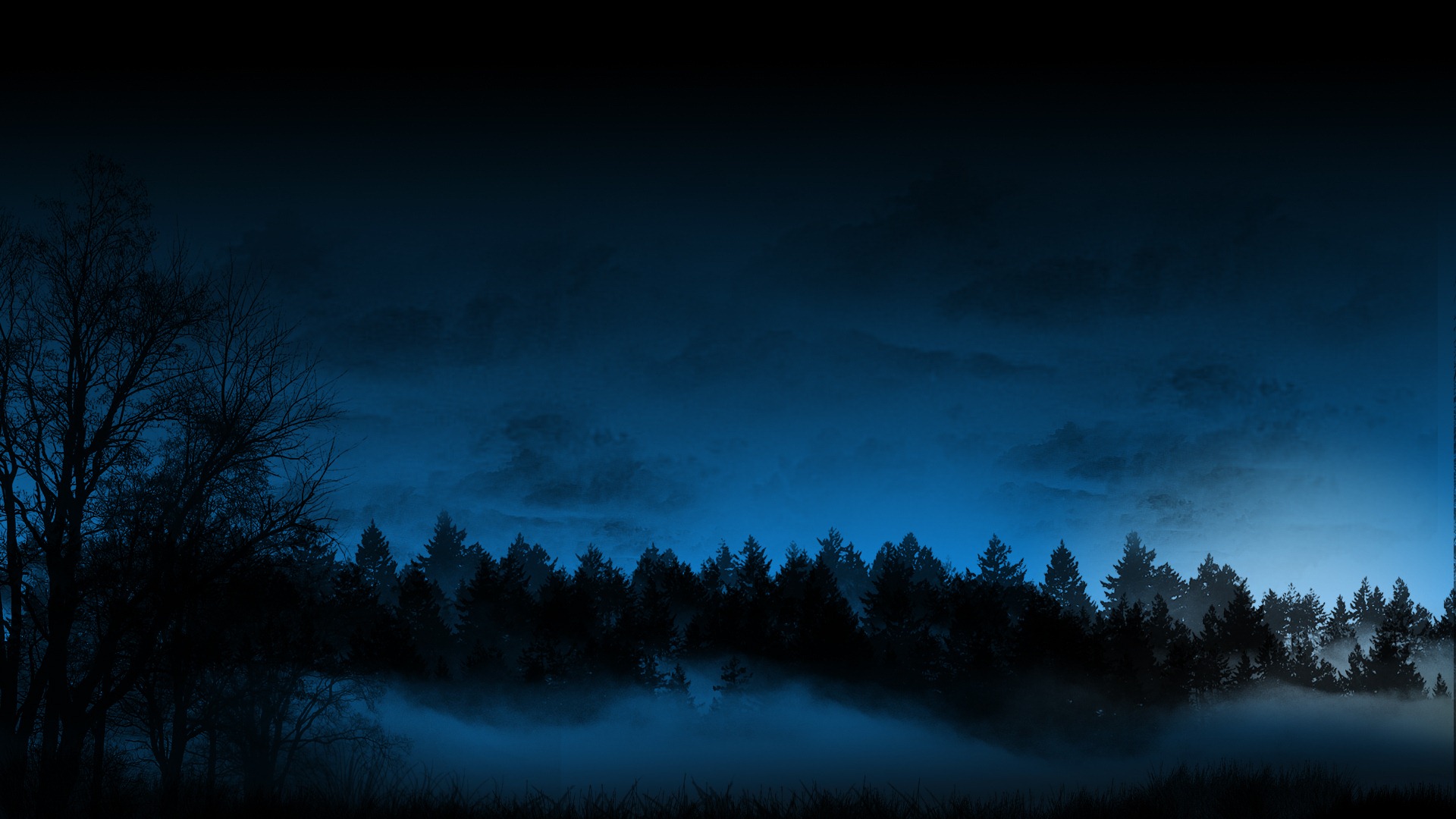 trees, Forest, Night, Fog, Mist, Blue, Cg, Sky Wallpaper HD / Desktop and Mobile Background