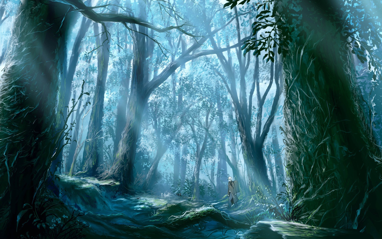 Dark Forest in the anime Master Musi Desktop wallpaper 1280x800