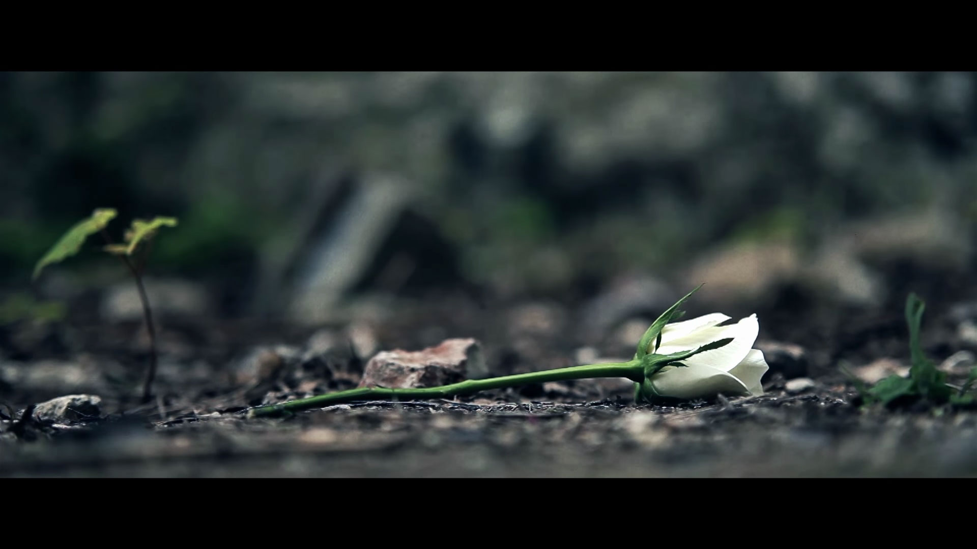 Filmmaking Wallpaper Cinematography Wallpaper & Background Download