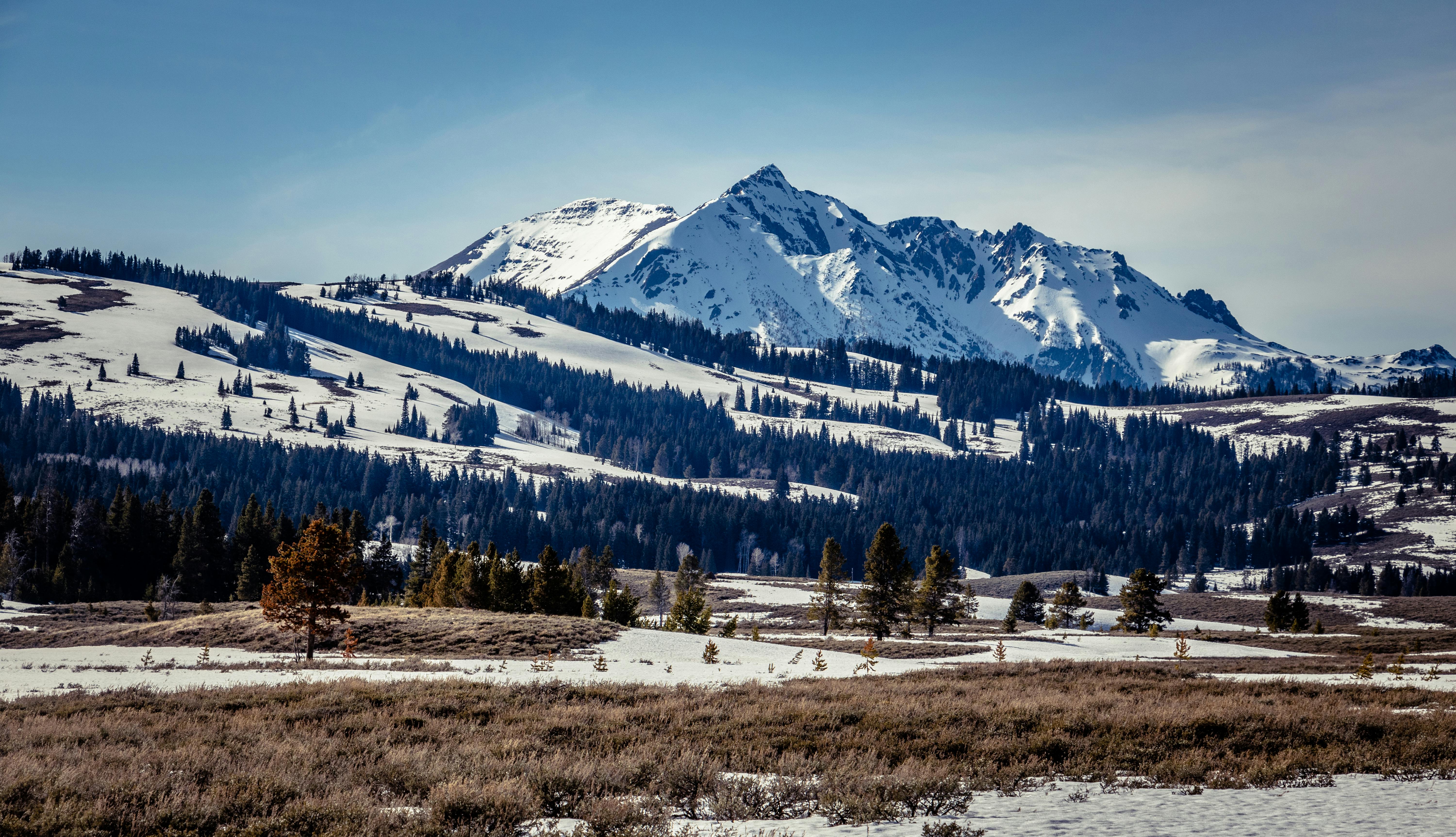 Yellowstone National Park Photo, Download The BEST Free Yellowstone National Park & HD Image