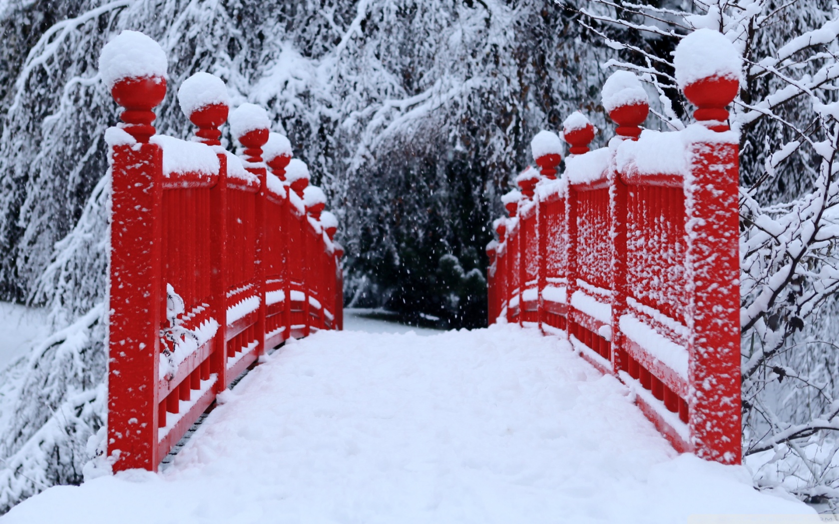 Red Japanese Bridge Winter 4K UHD Wallpaper for UltraHD Desktop and TV, Smartphone and Tablet Devices