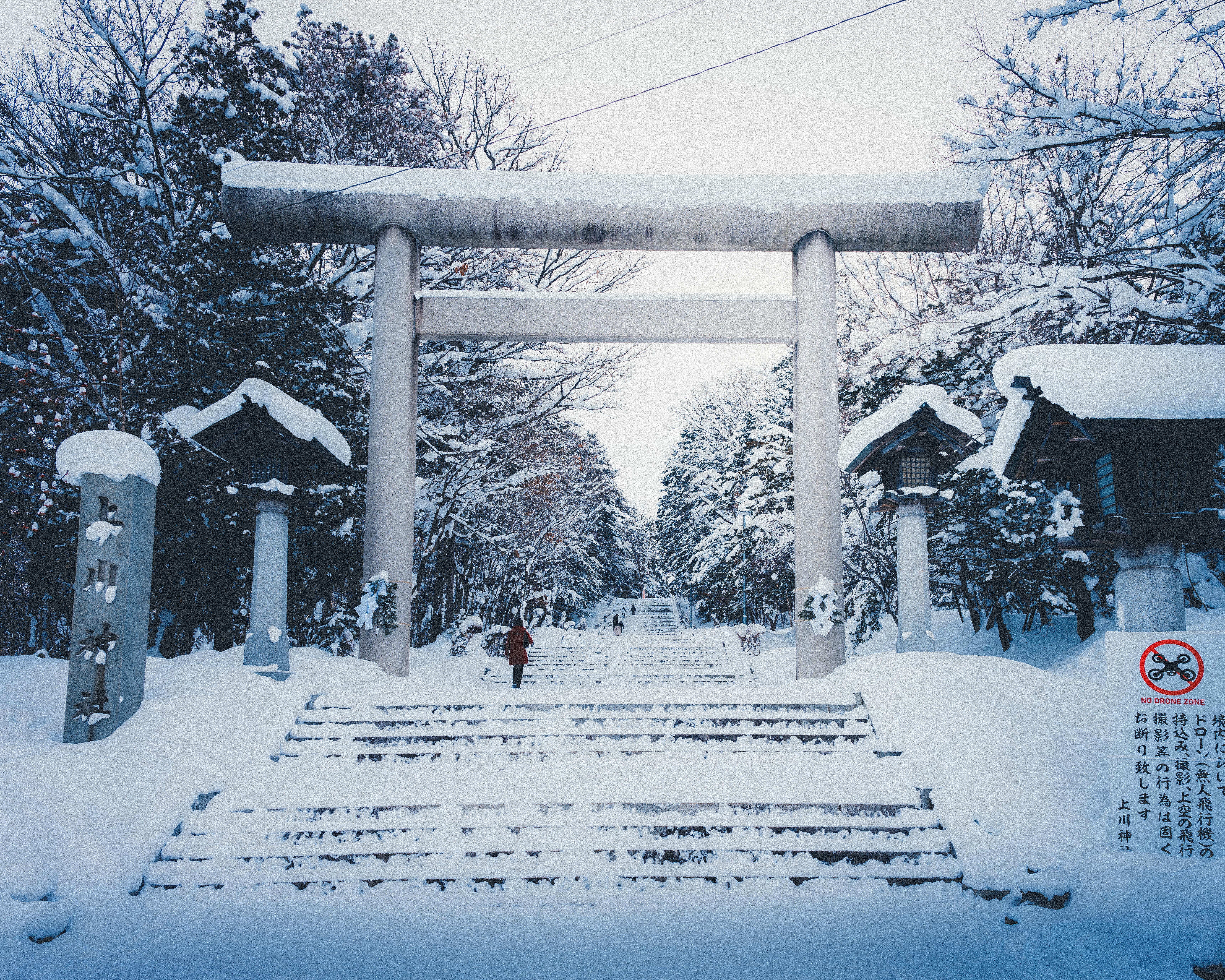Snowy Scene with Torii Gate in Sapporo · Free