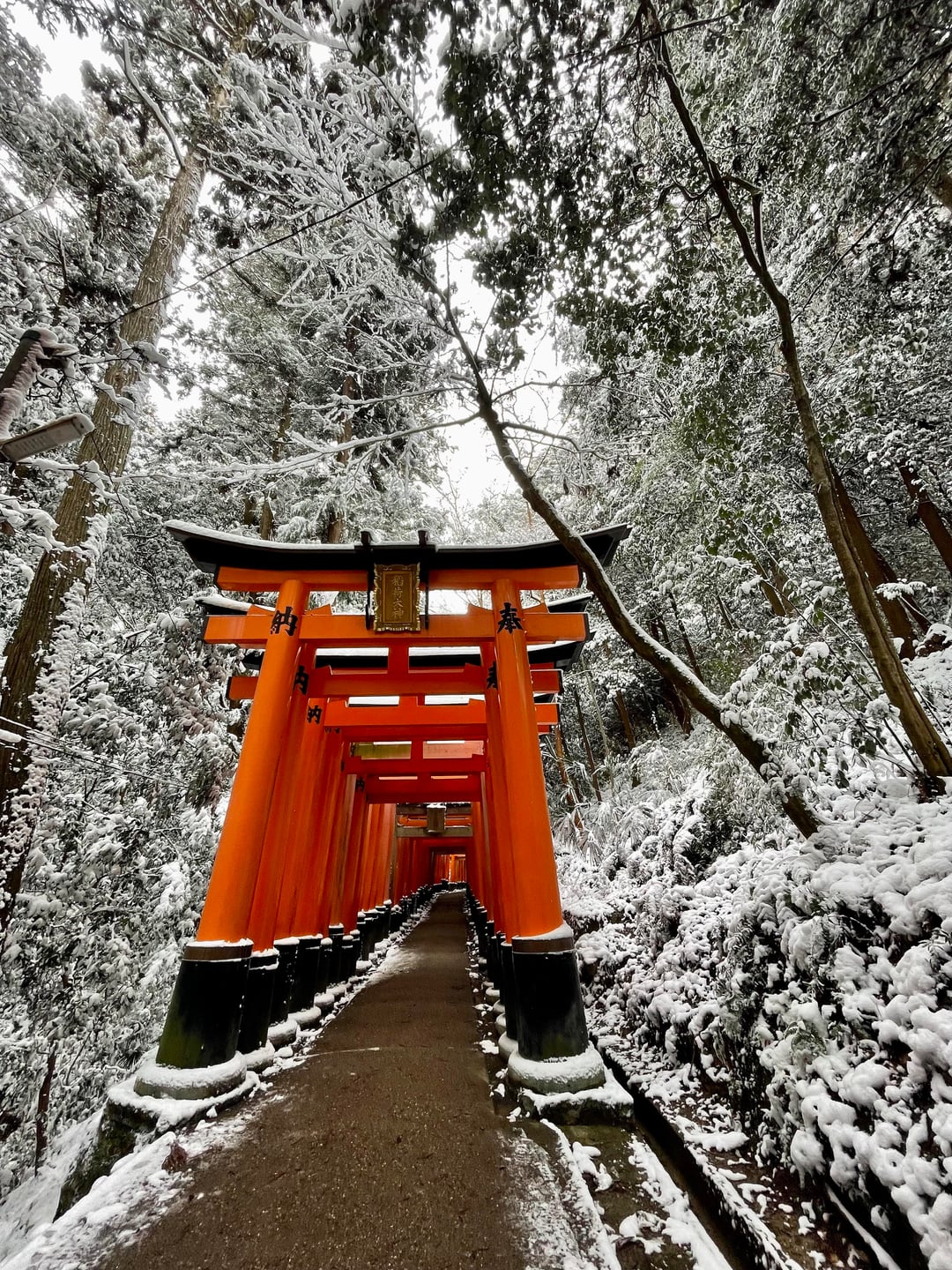 Kyoto during snowstorm
