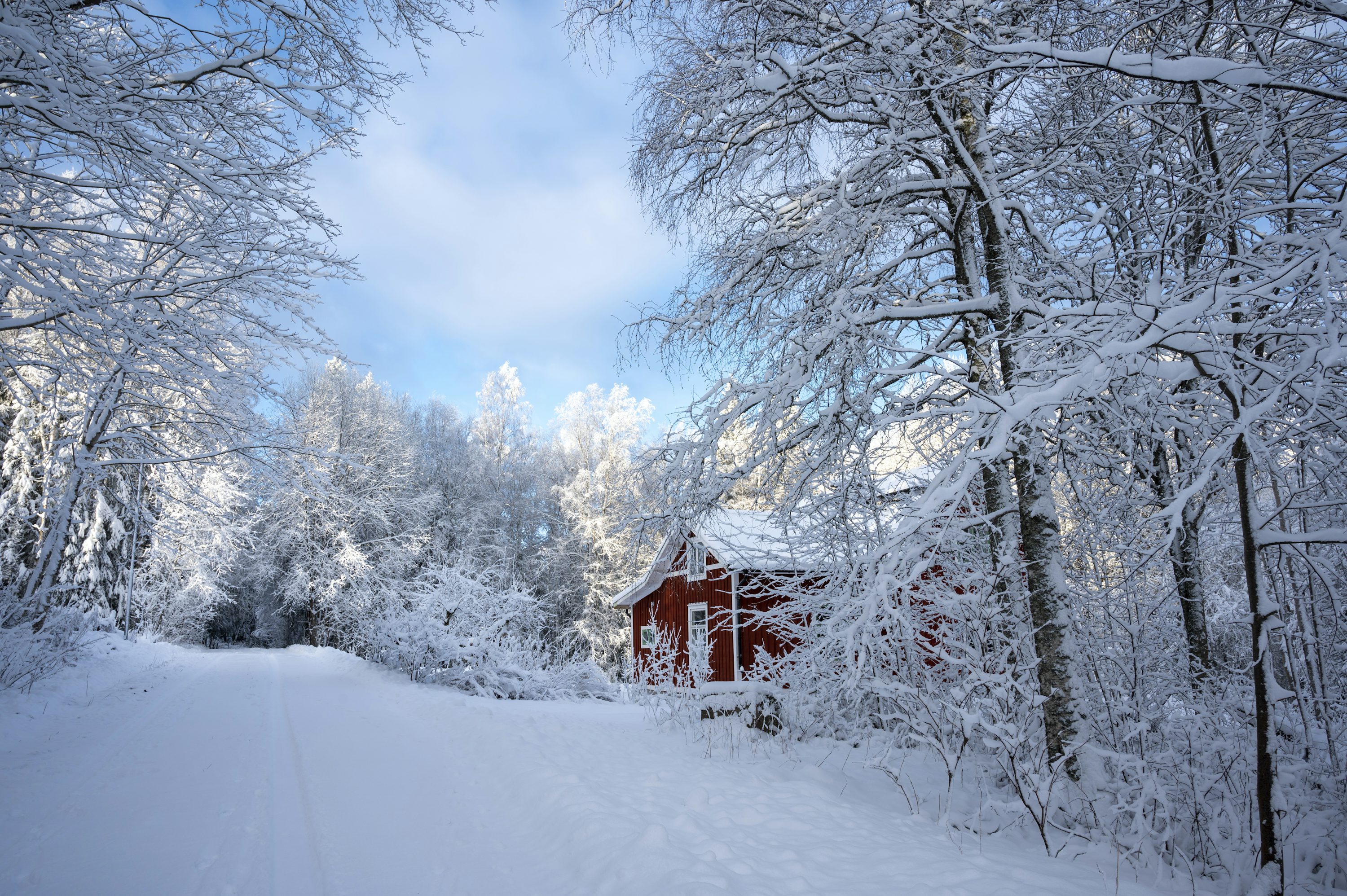 A red cabin in the middle of a snowy forest photo