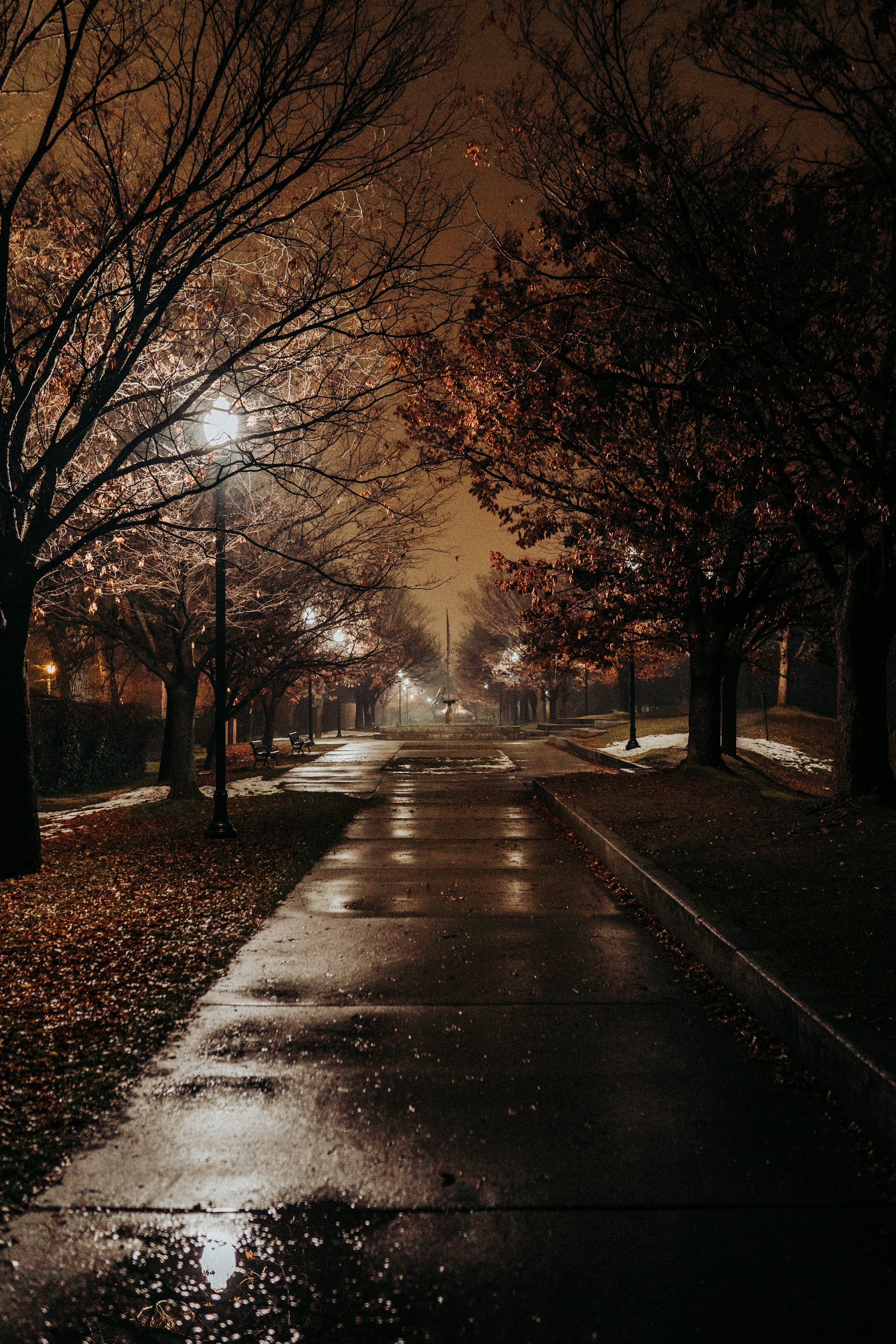 Autumn Night Picture. Download Free Image