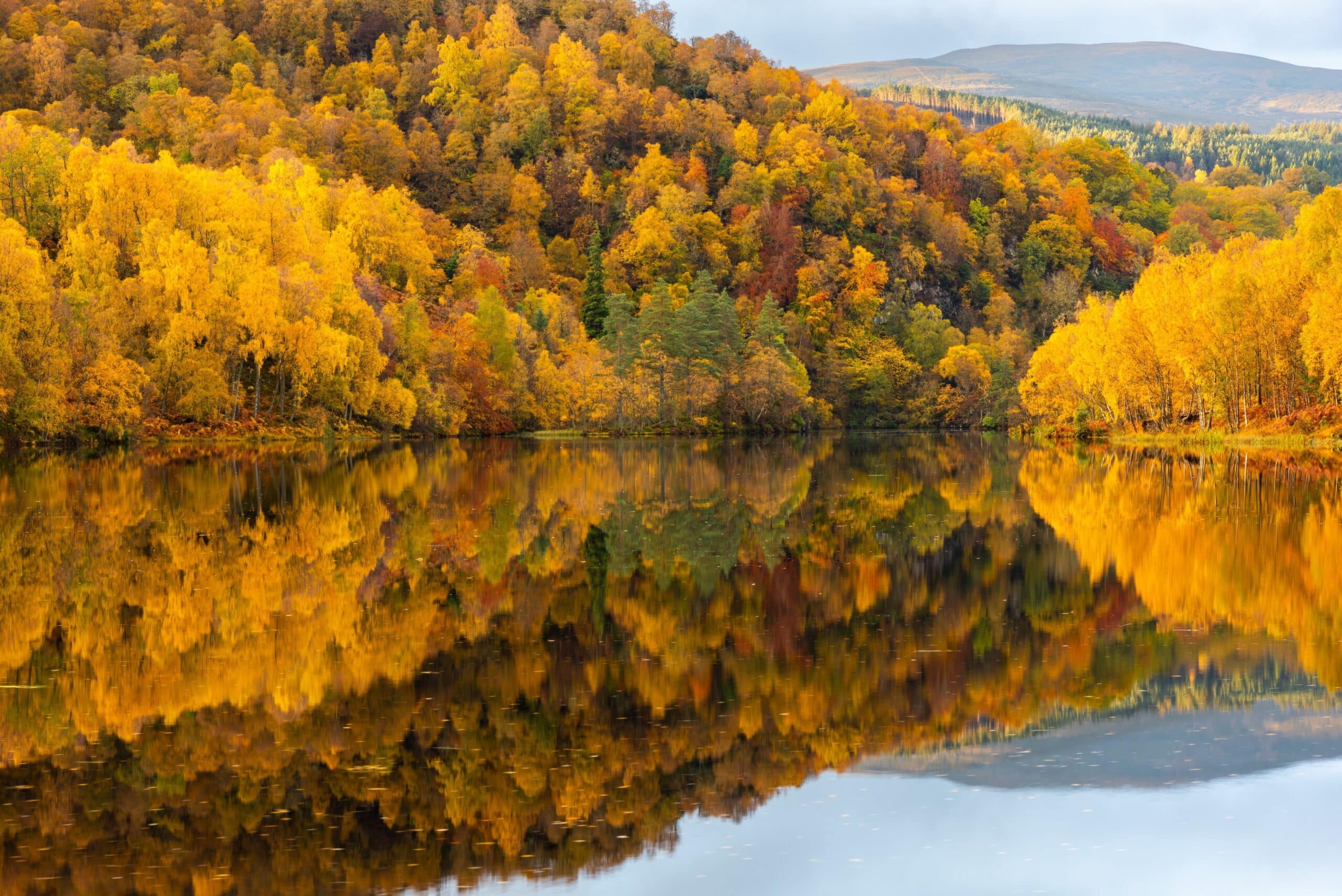 Discover the magic of Scotland's autumn