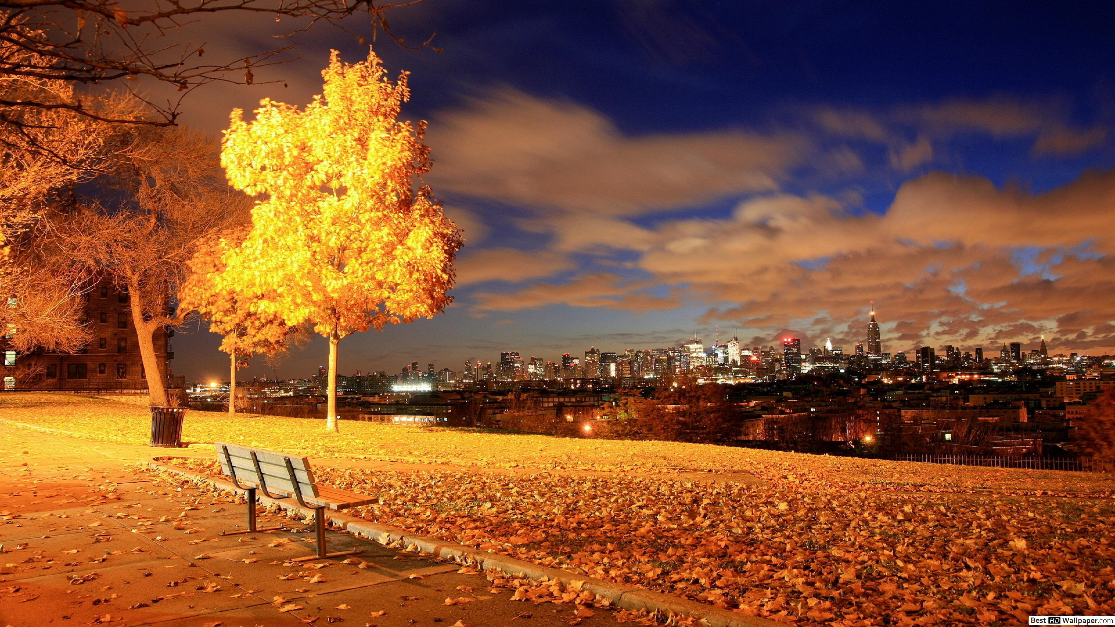 Autumn Fall Wallpaper 3840x2160 63868
