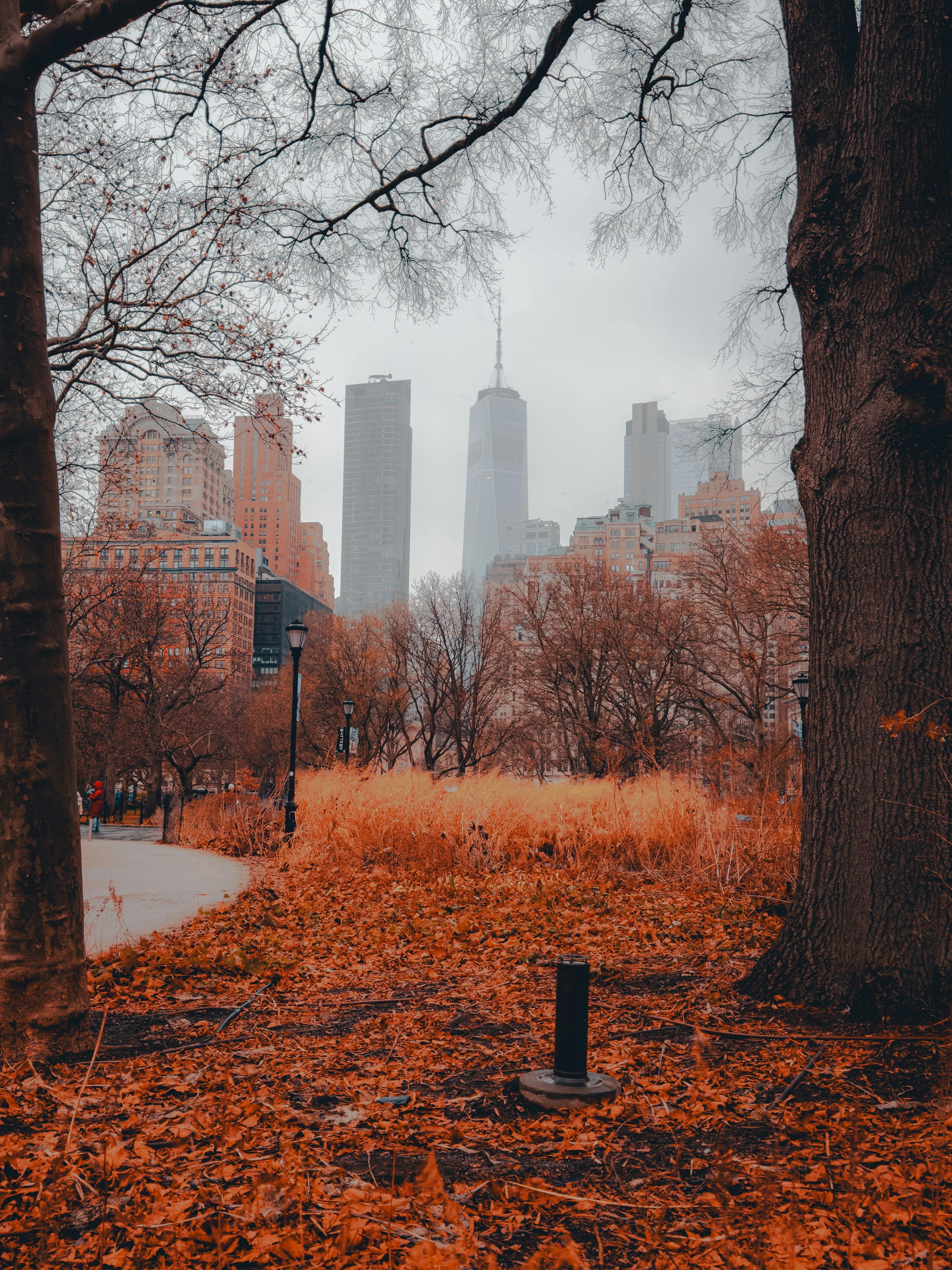 Autumn View of New York City Skyline · Free