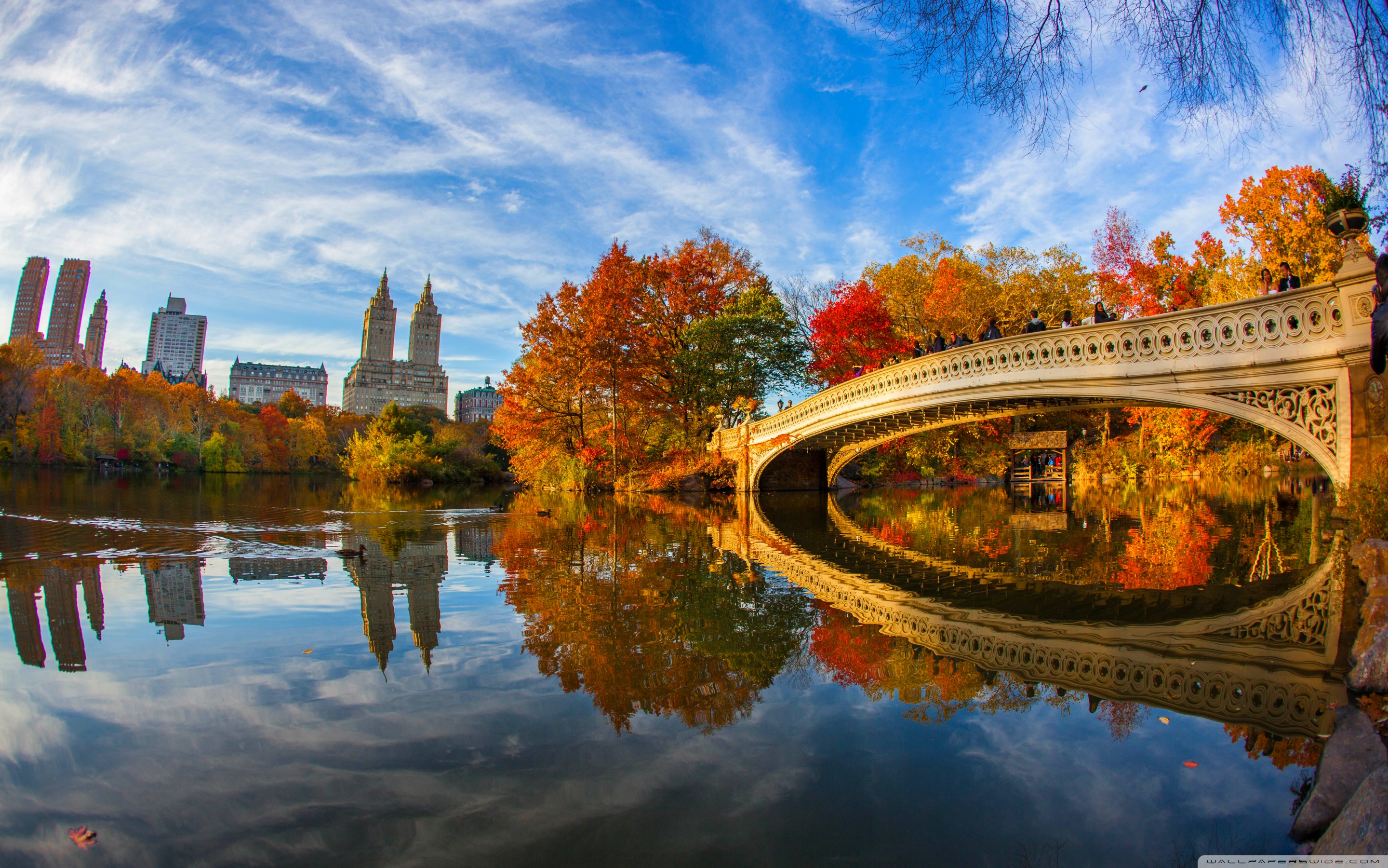 Fall Foliage in Central Park New York City 4K UHD Wallpaper for UltraHD Desktop and TV, Widescreen and UltraWide Display, Dual Monitor, Smartphone and Tablet Devices