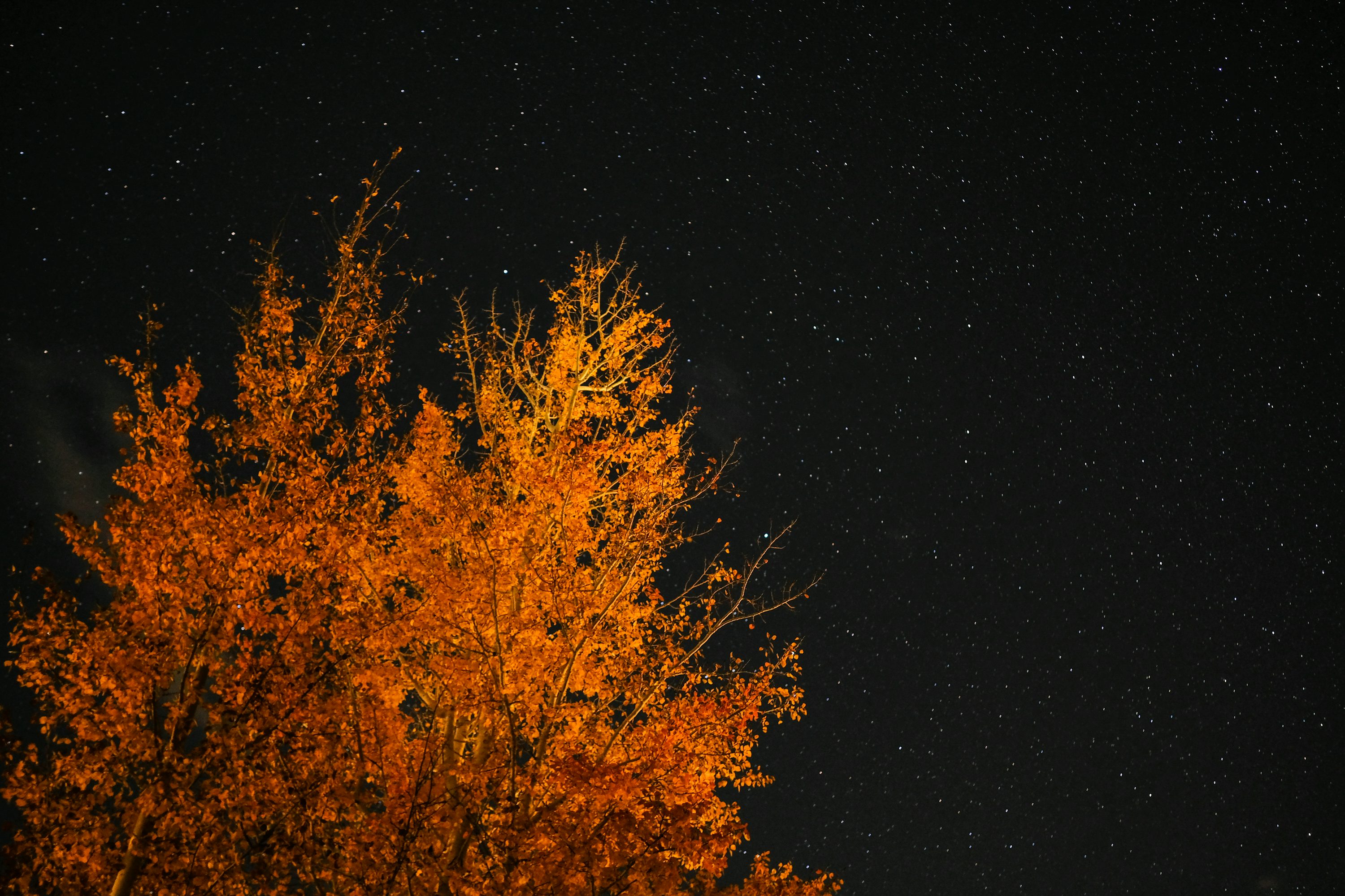Autumn Night Picture. Download Free Image