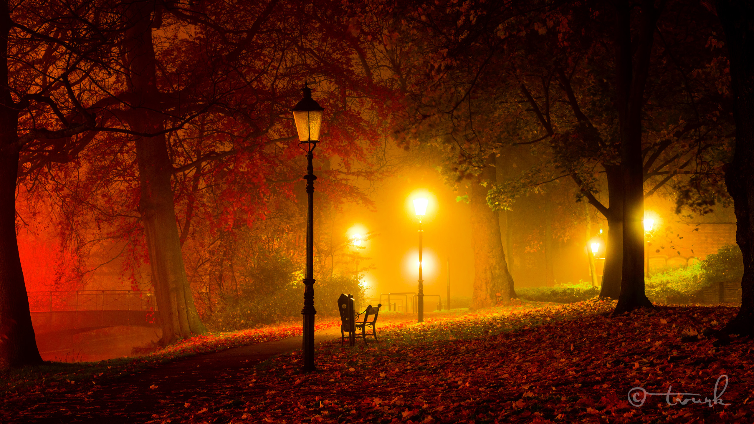 Wallpaper autumn, light, trees, bench, night, bridge, Park, twilight for mobile and desktop, section пейзажи, resolution 2560x1440