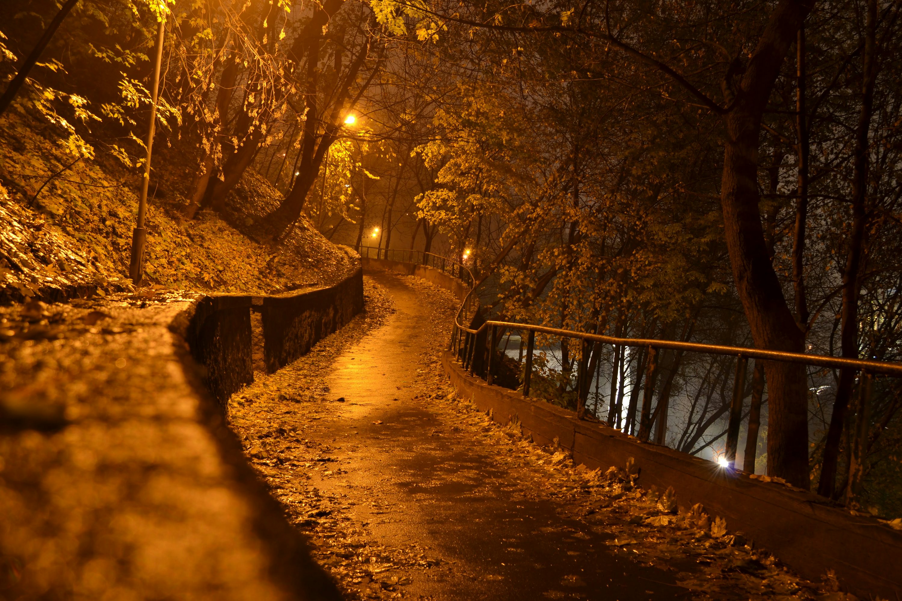 Autumn Night Picture. Download Free Image