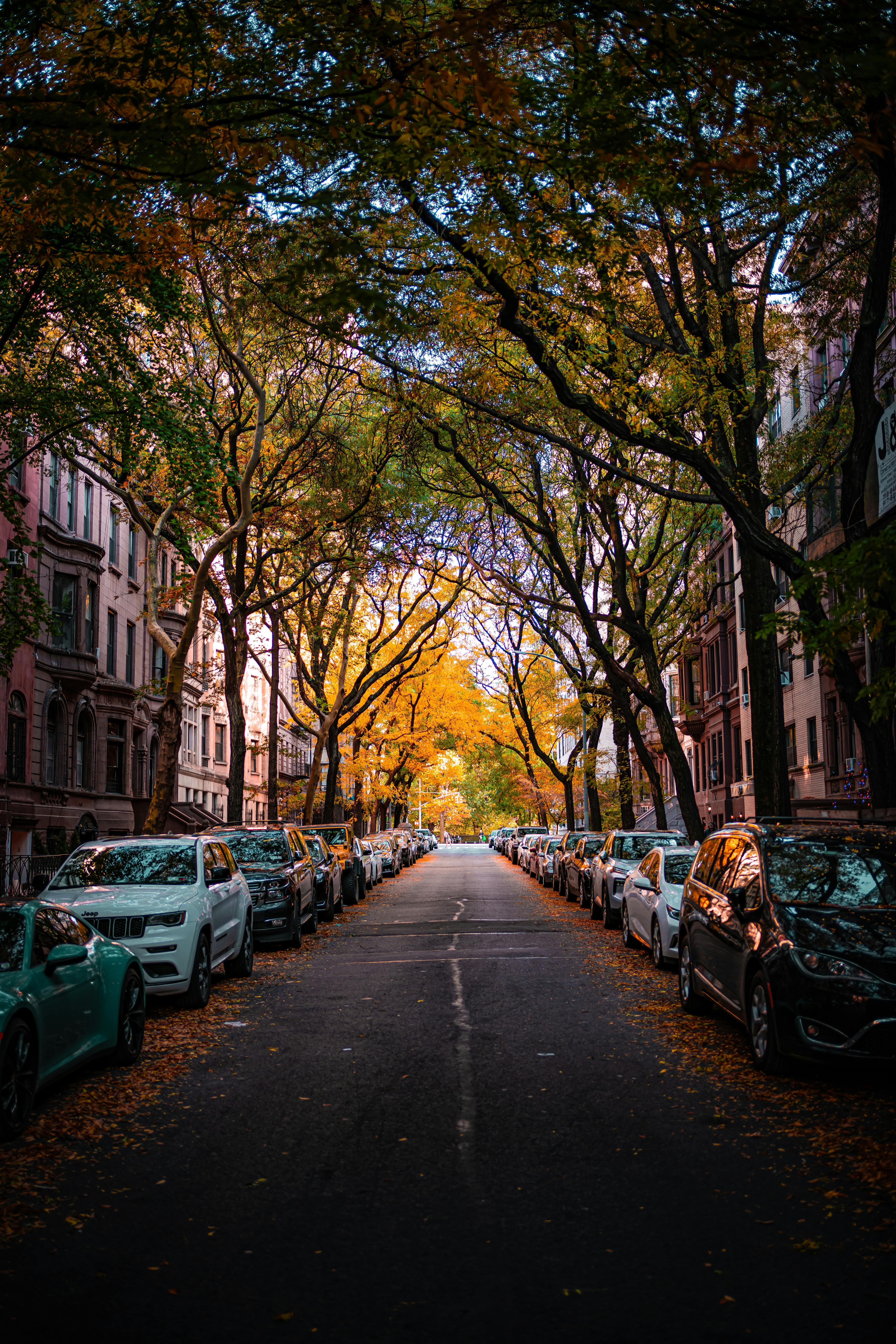 Autumn Street in New York City · Free