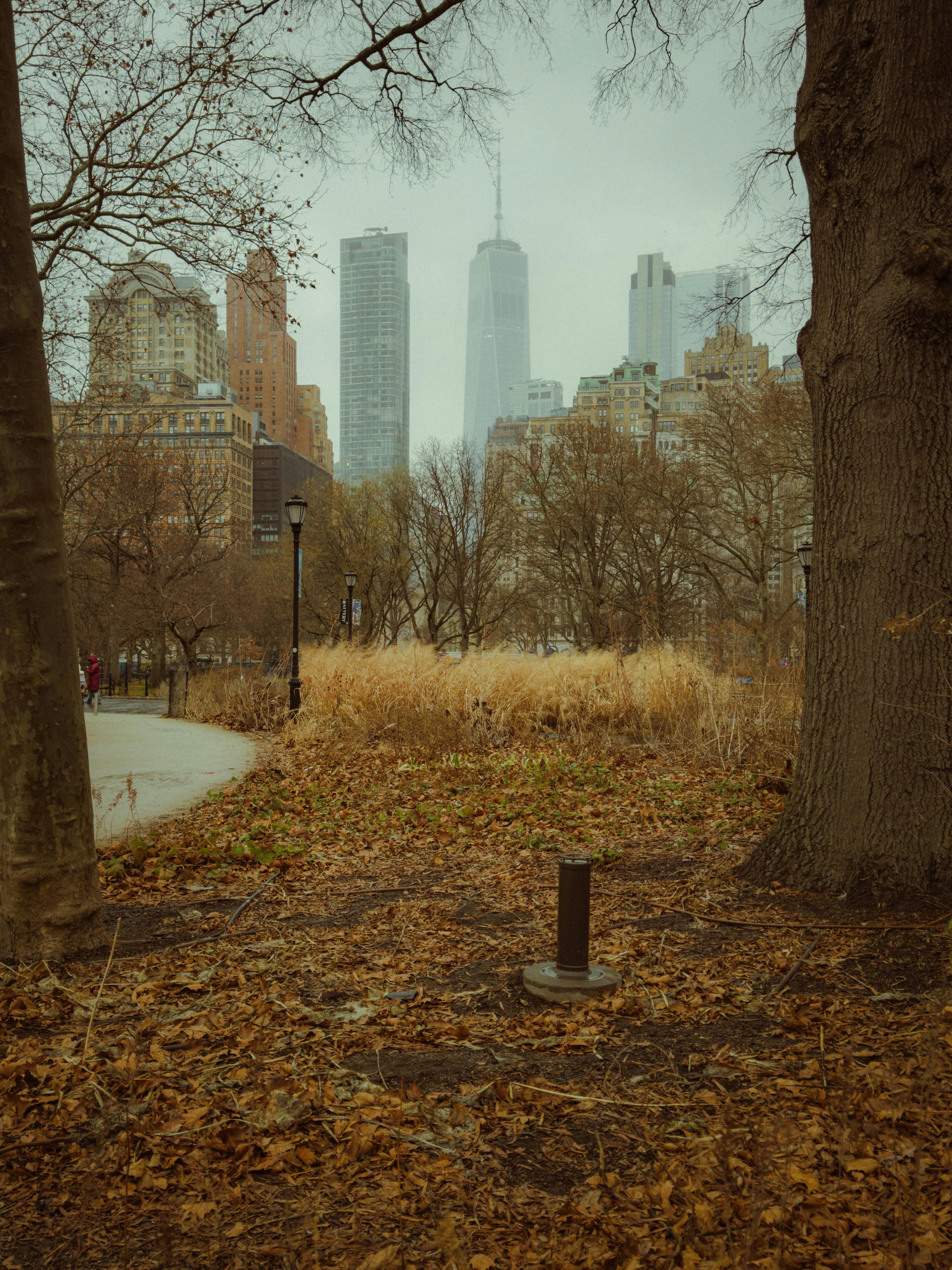 Autumn View of New York City Skyline · Free
