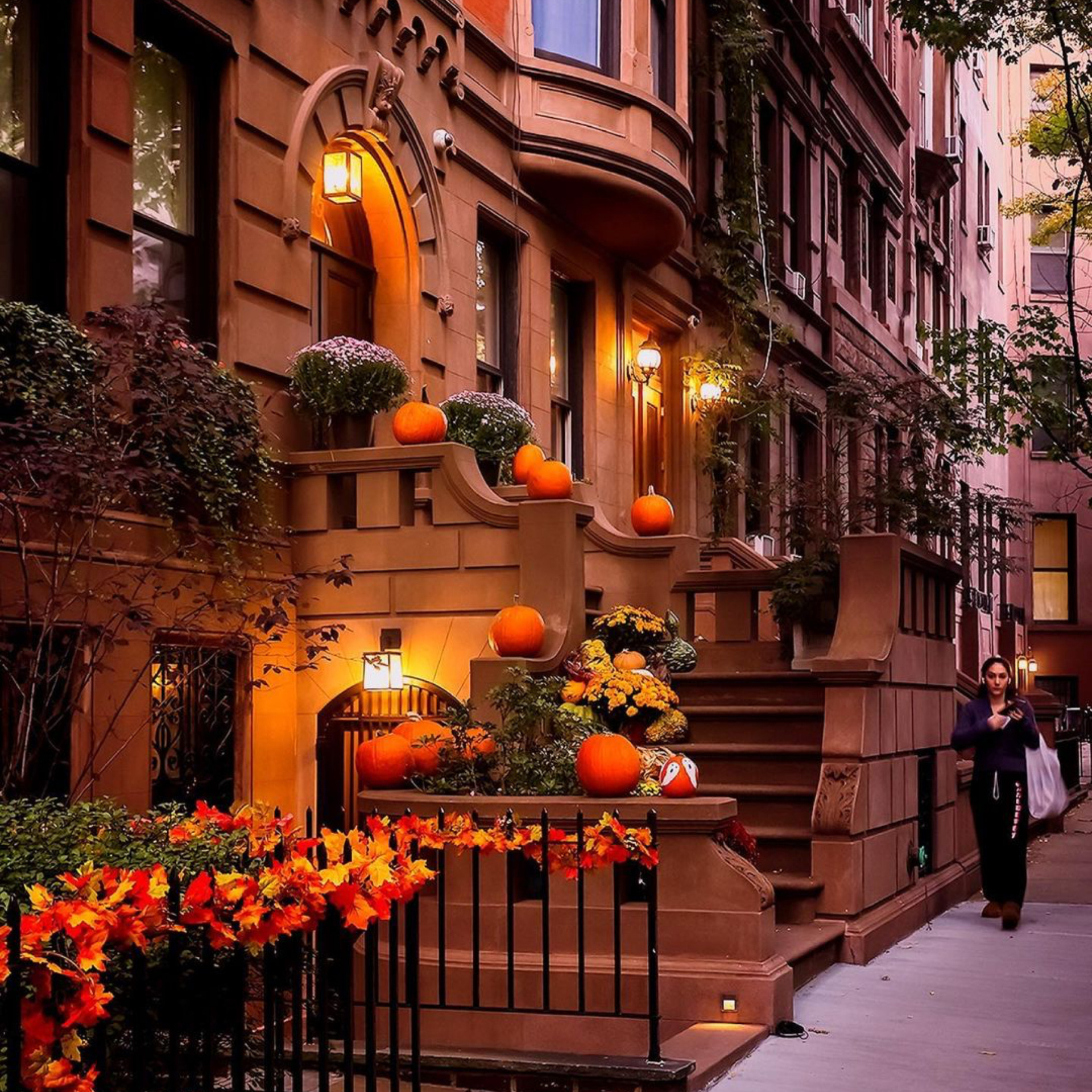 October 2024 in NYC Discovering the Beauty of Autumn