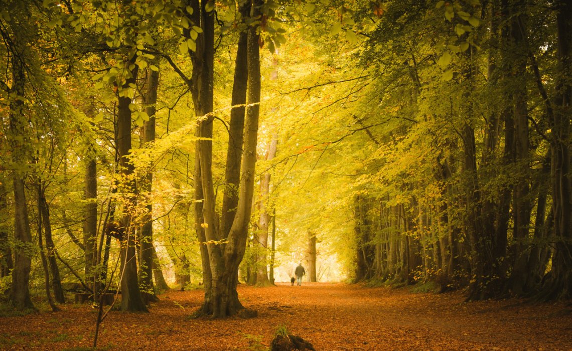 Autumn Break: Five Stunning Places To Visit In Scotland