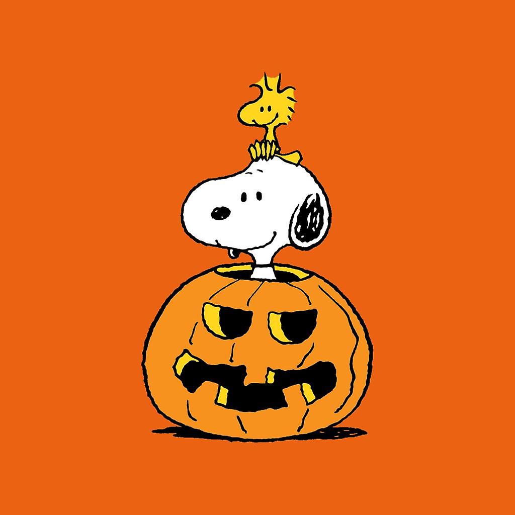 Peanuts Halloween Snoopy And Woodstock Women's T Shirt