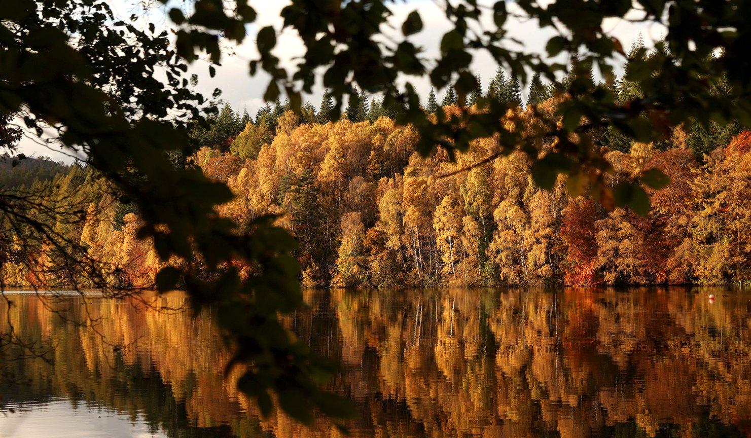 Fall Colors in Scotland