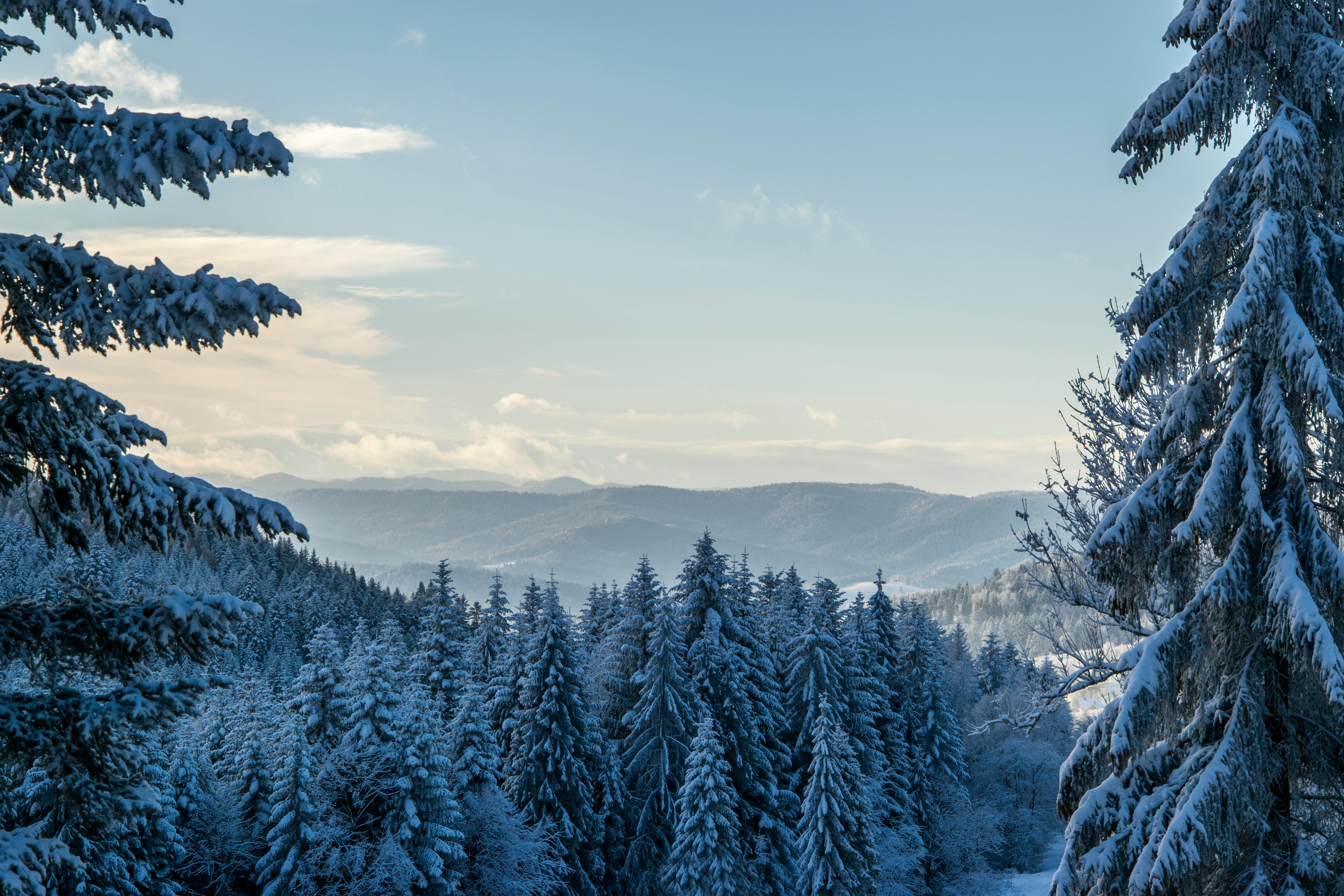 Winter Landscape Photo, Download The BEST Free Winter Landscape & HD Image