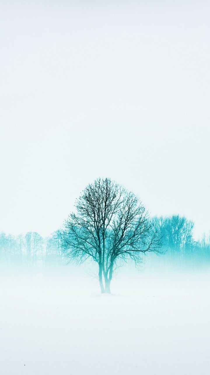 Winter Minimal Nature Wallpapers - Wallpaper Cave