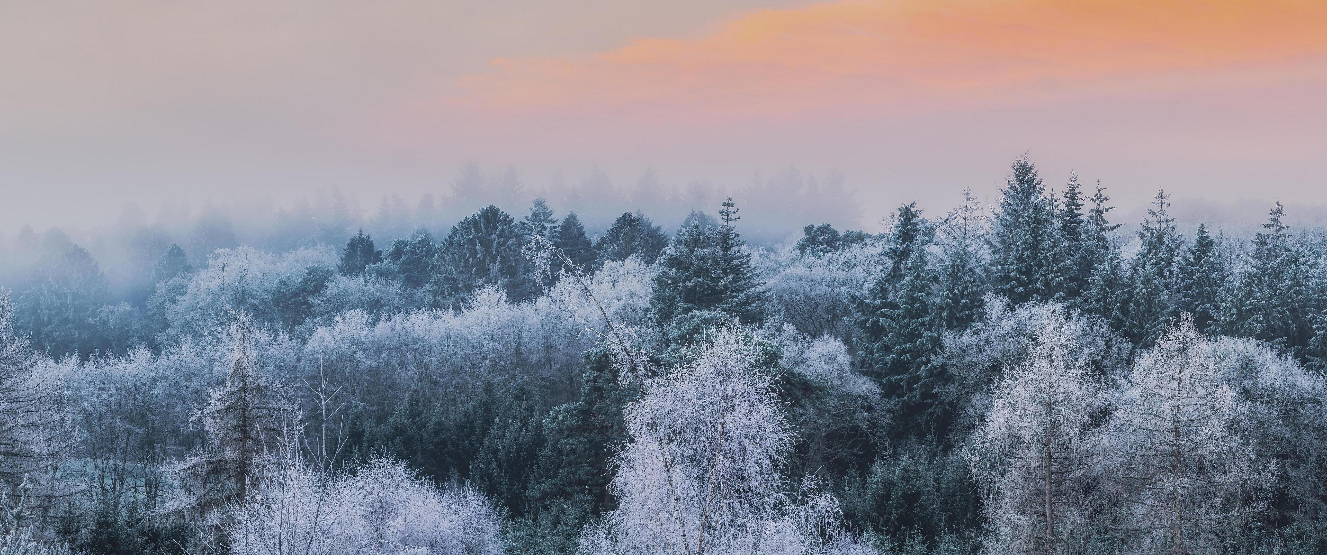 Winter Scene [5120x1440]