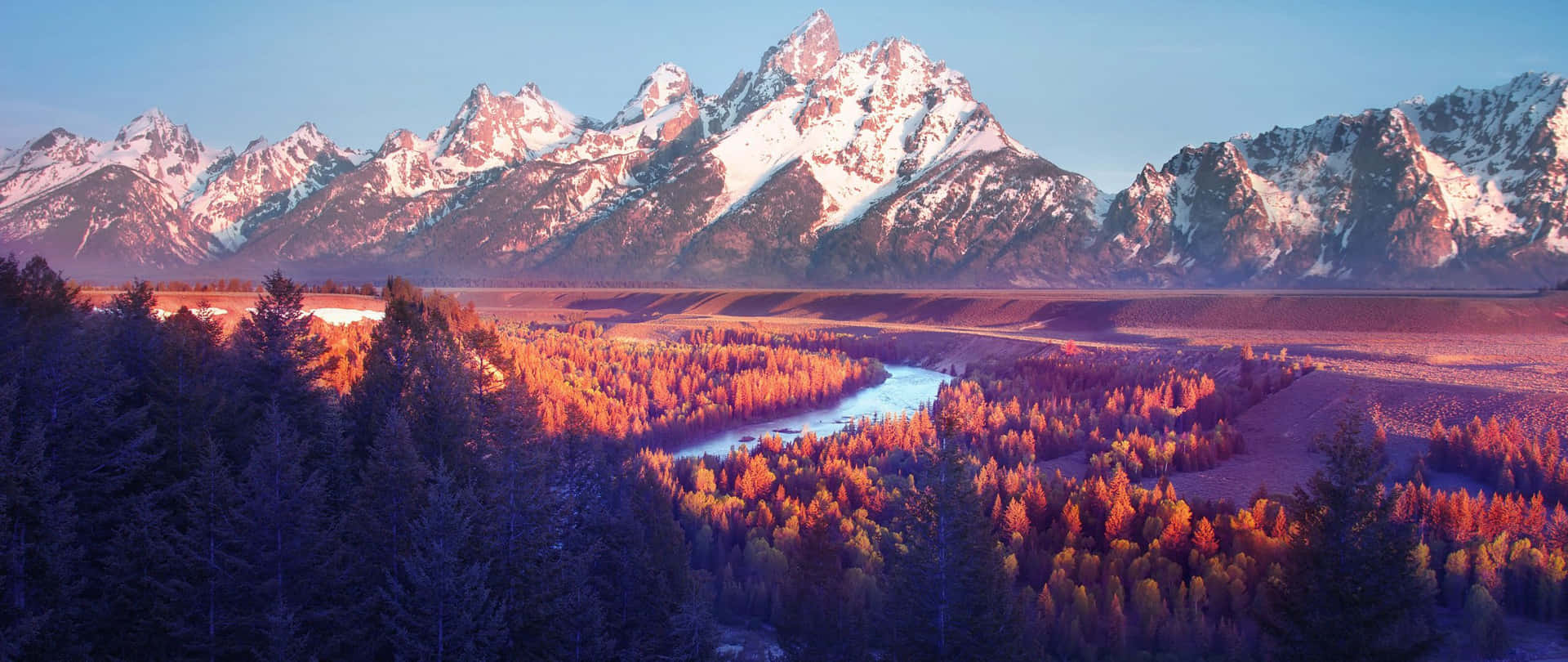 Download Enjoy the Splendor of Nature Wallpaper