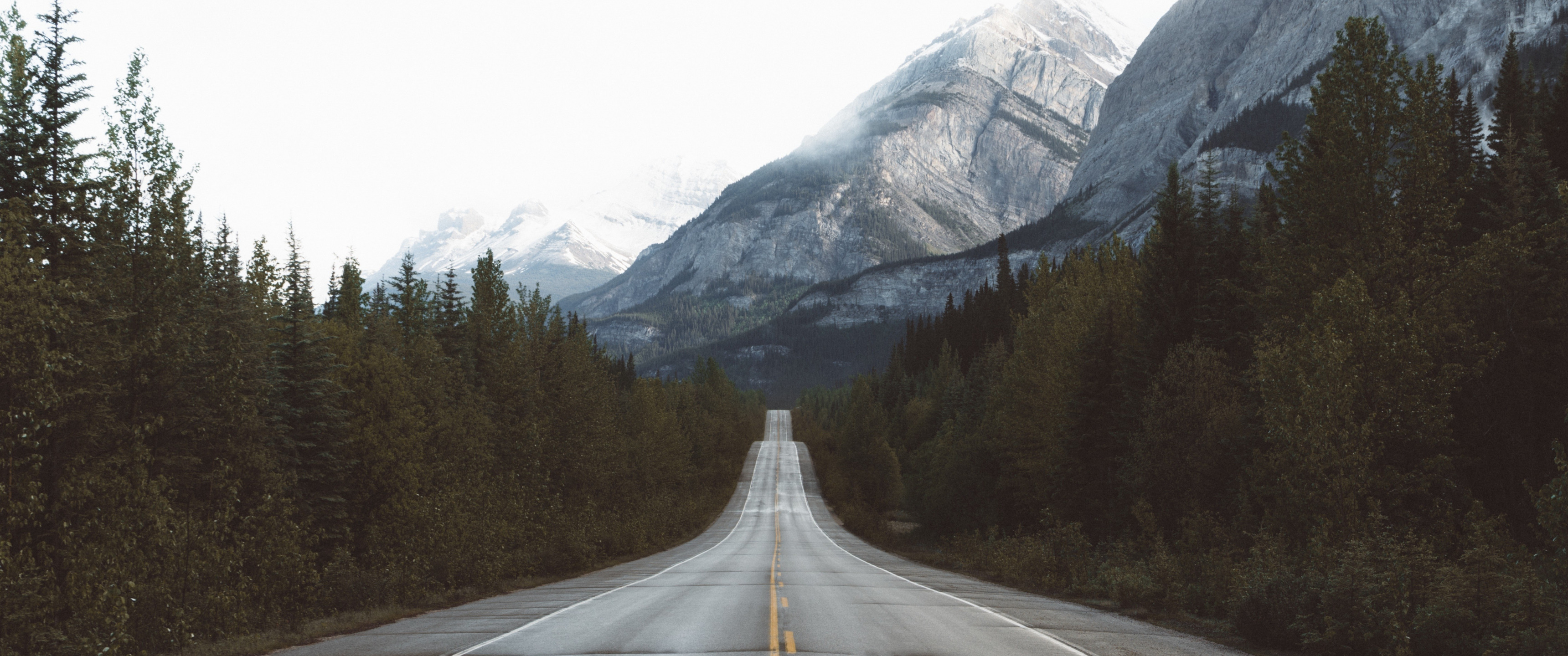 ultrawide, Snow, Forest, Road Wallpaper HD / Desktop and Mobile Background