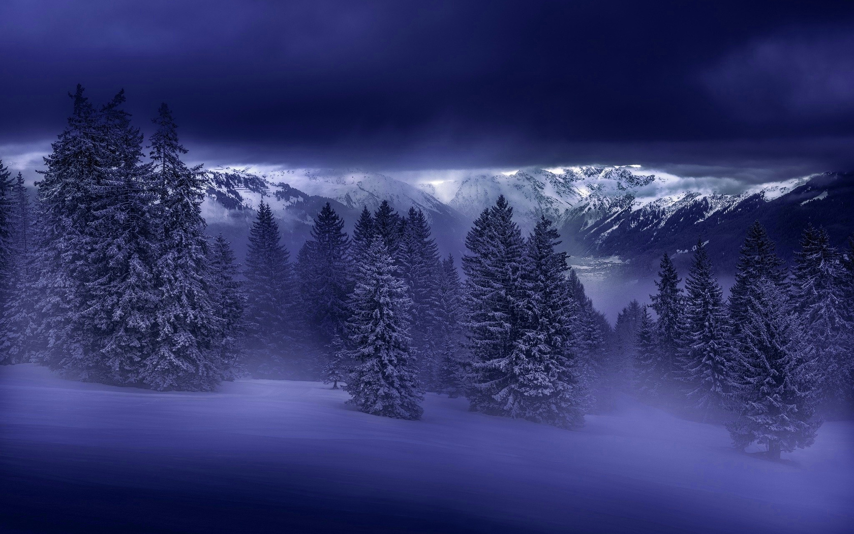 Download Winter forest, Night, Forest, Mountains, Snow, Fog, Winter Wallpaper in 1680x1050 Resolution