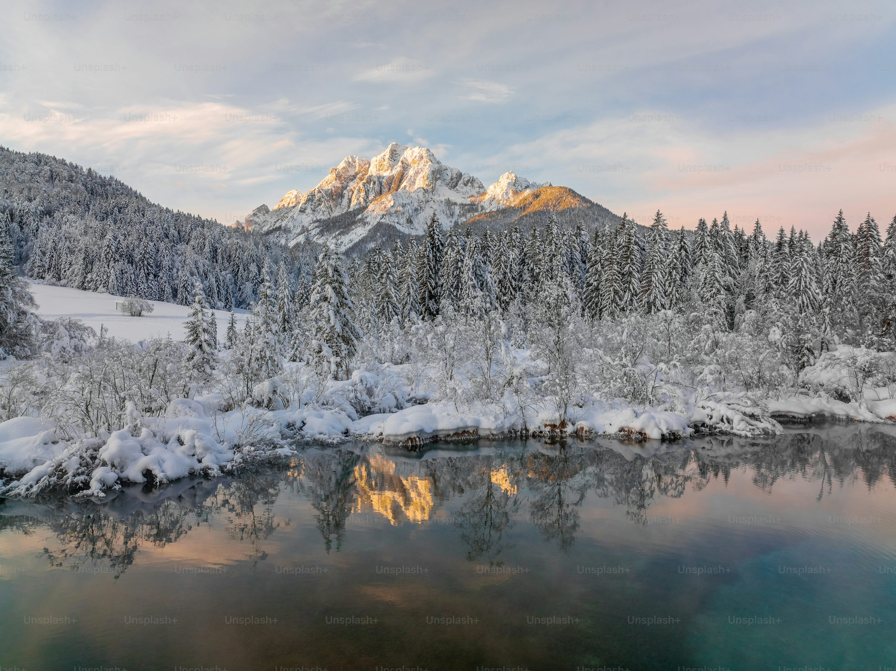 Winter Forest Picture. Download Free Image