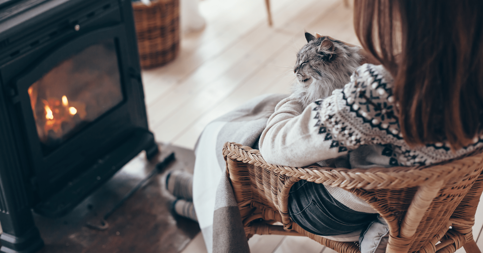 Do Cats Need Extra Support in Winter? 14 Tips for Cosy Cats