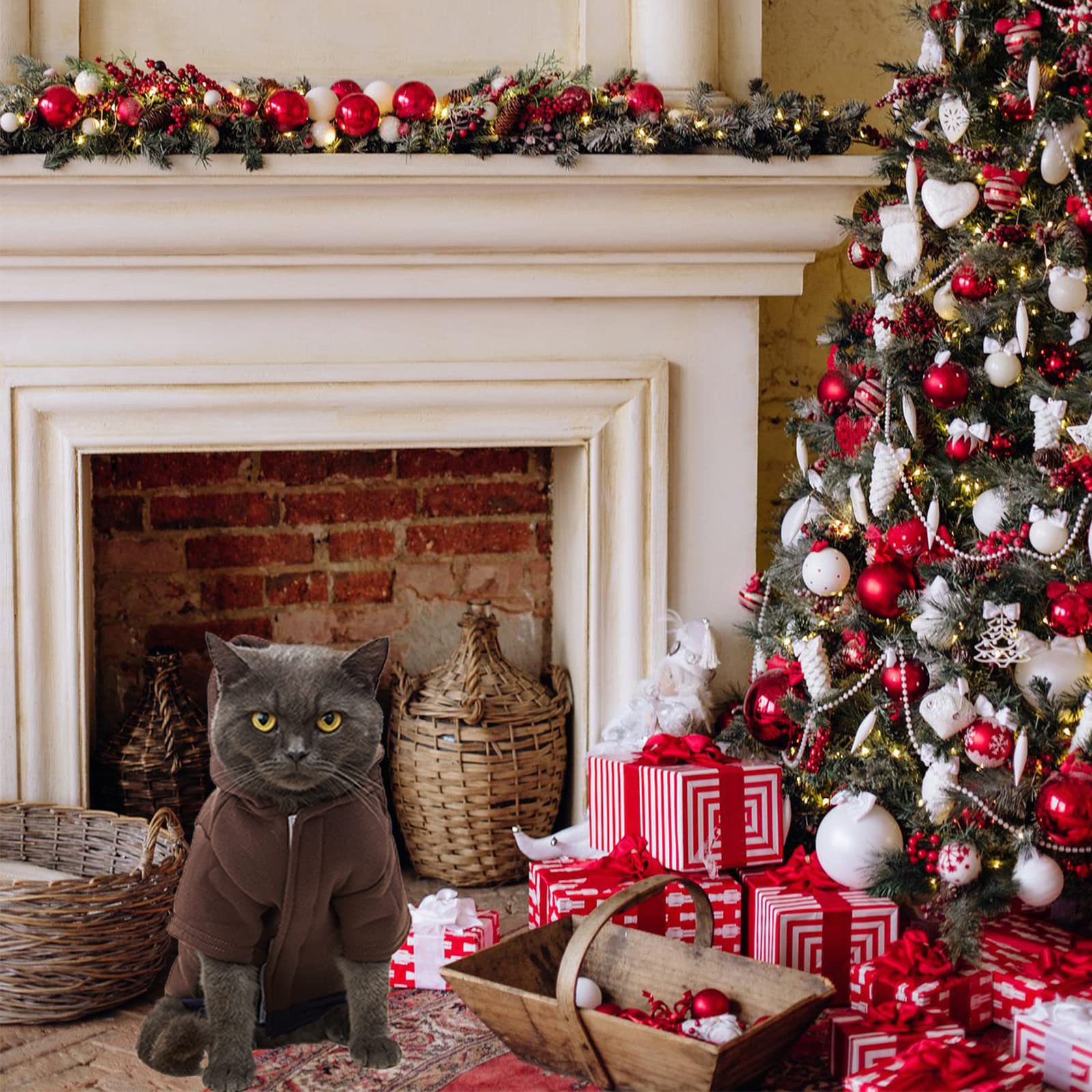 Amazon.com, Jnancun Cat Clothes for Cats Only Winter Hoodie Sweatshirts with Pockets Warm Cat Outfits for Cat, Pet Supplies