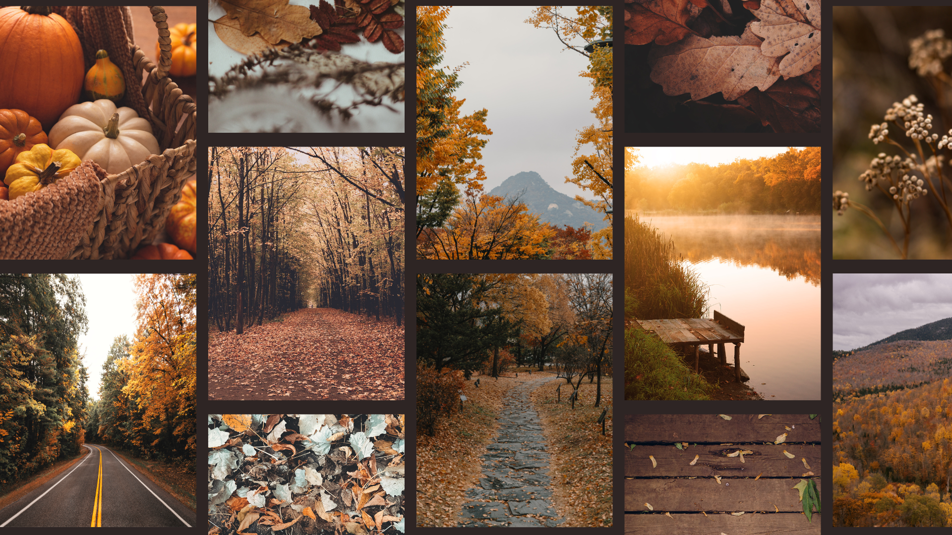 Autumn MacBook Desktop Wallpaper: Seasonal & Aesthetic