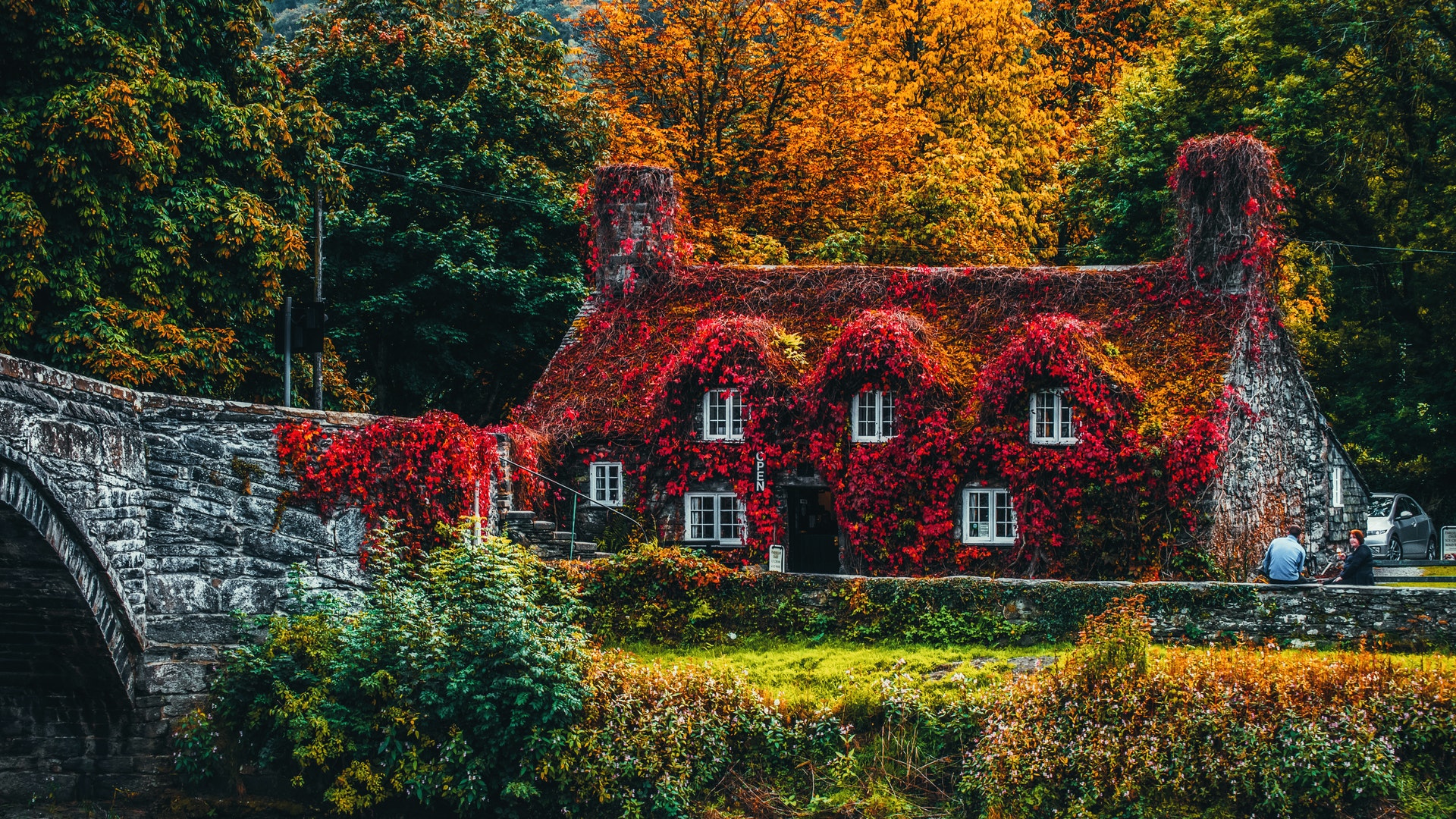 Fall colors in UK countryside [1920x1080]