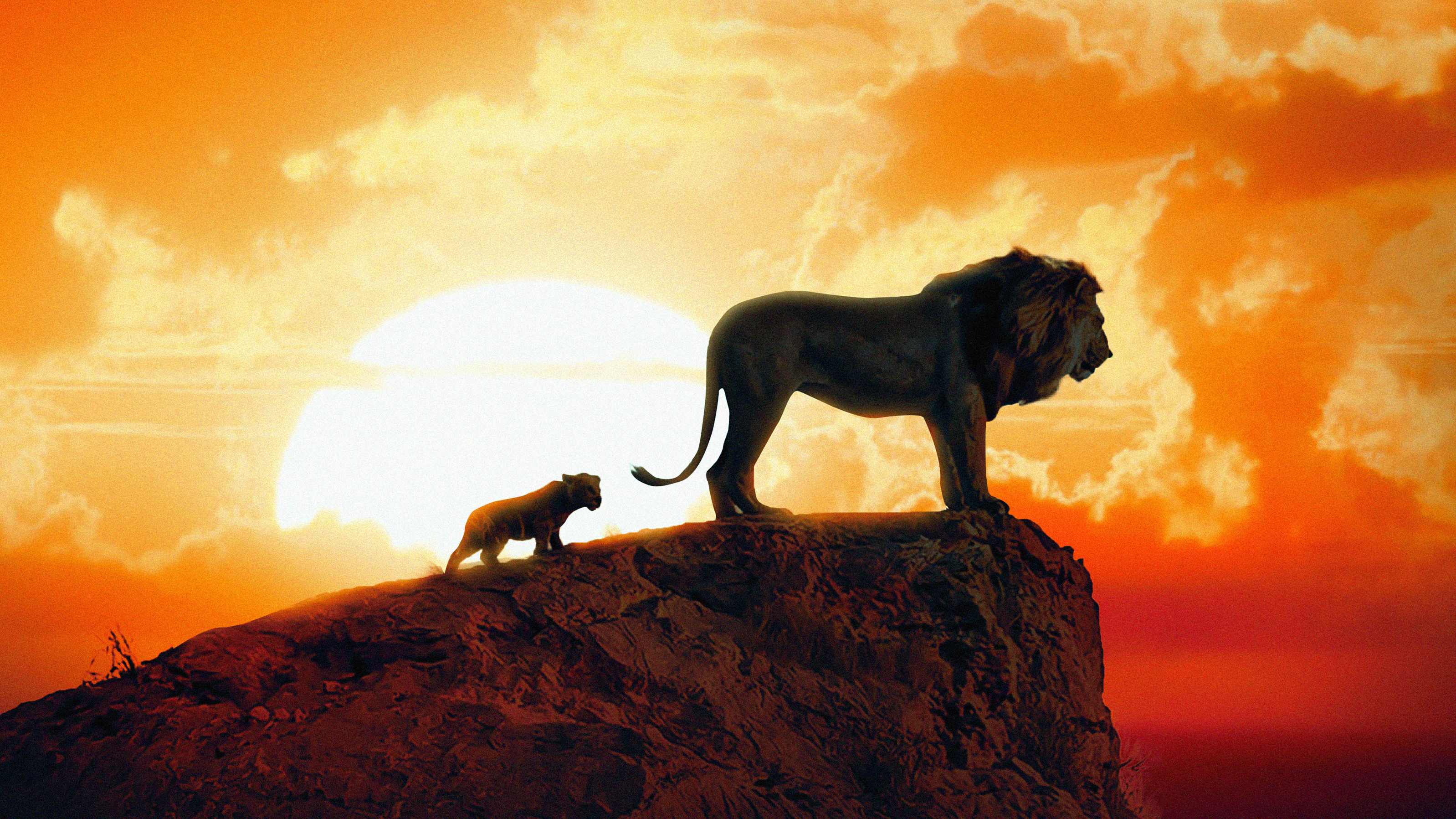 The Lion King New Poster Wallpaper, HD Movies Wallpaper, 4k Wallpaper Image, Background, Photos and Picture