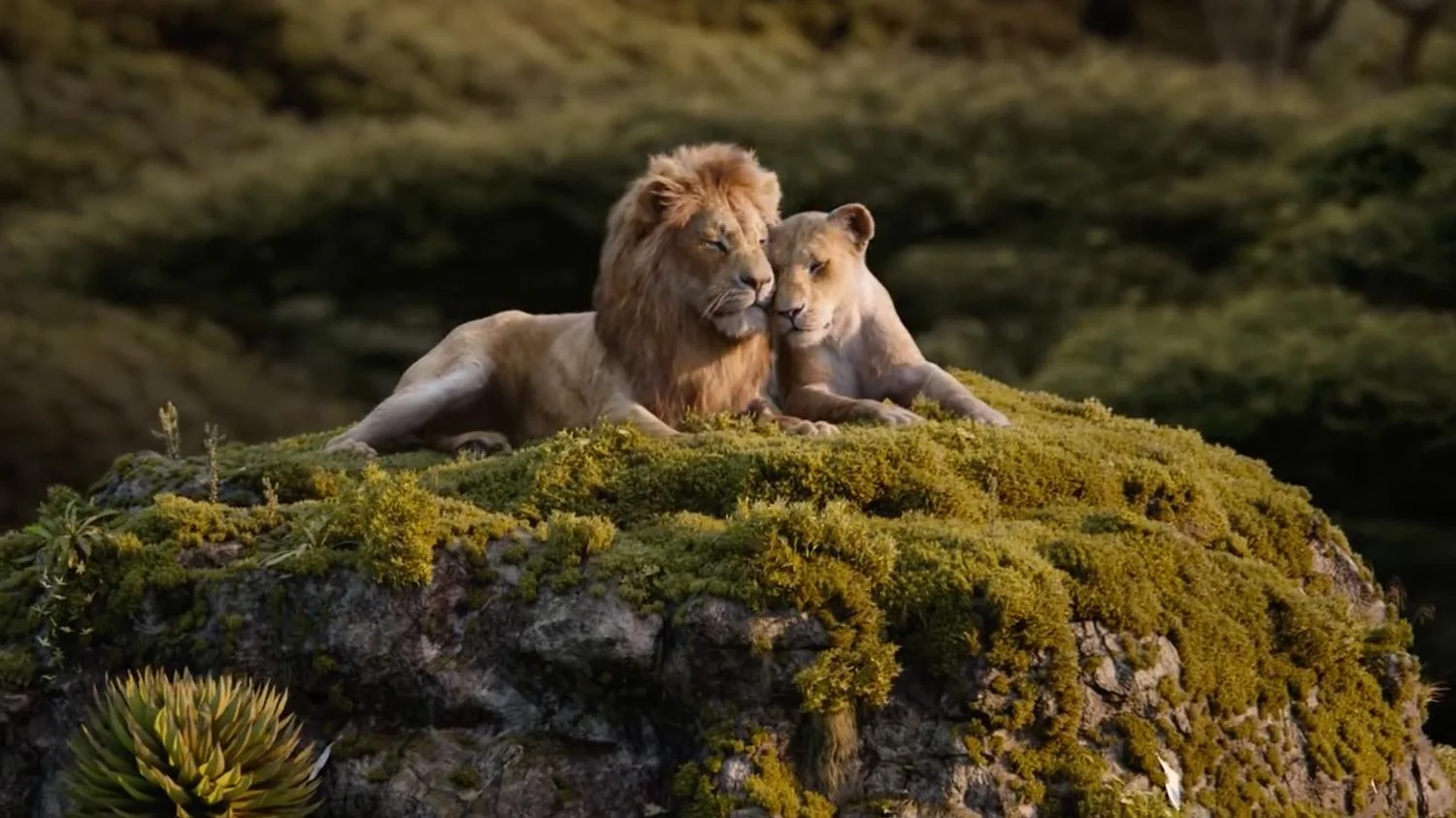 Review: The Lion King